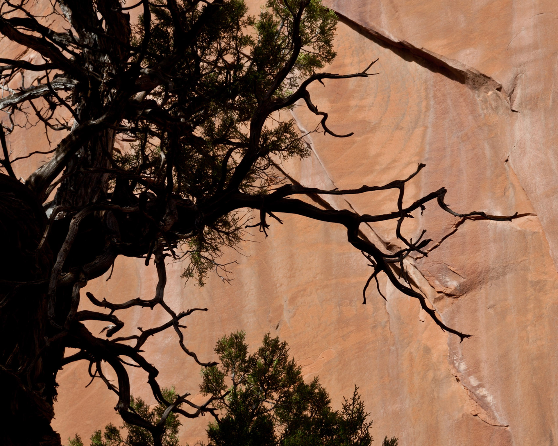 Touching, Devil's Garden, 2010