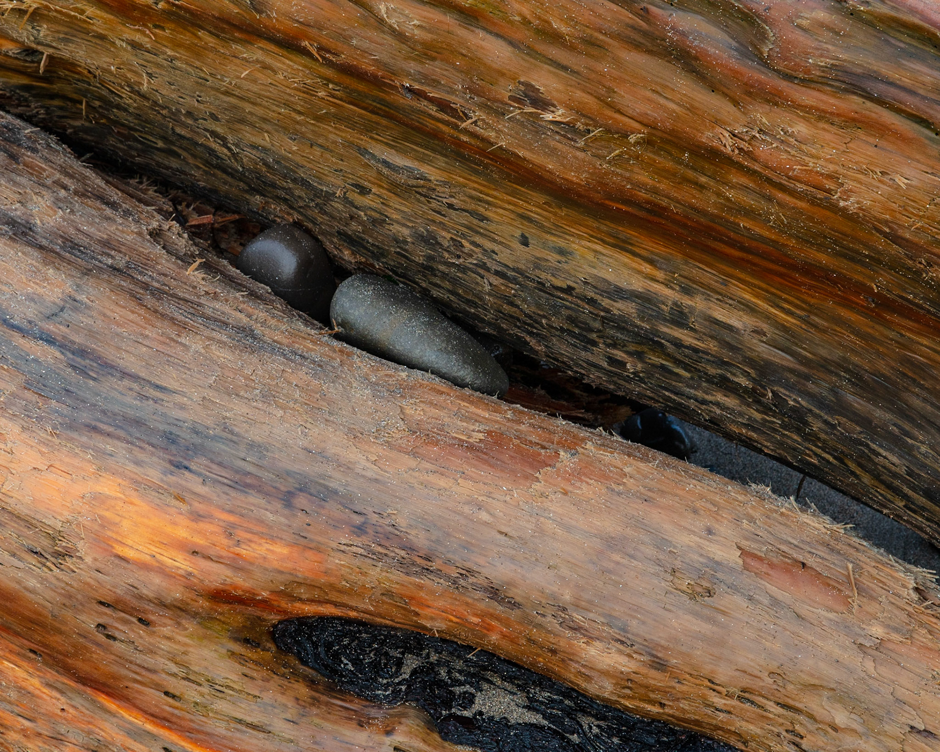 Unseen Rock, Point Arena, 2021