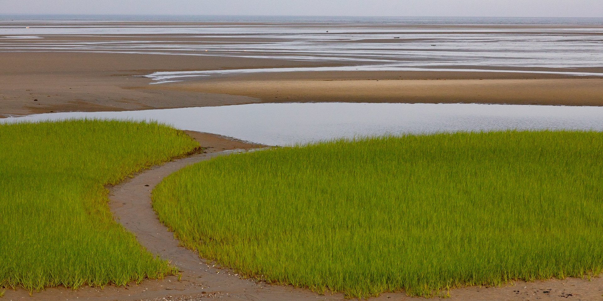 Low Tide, First Encounter, 2022