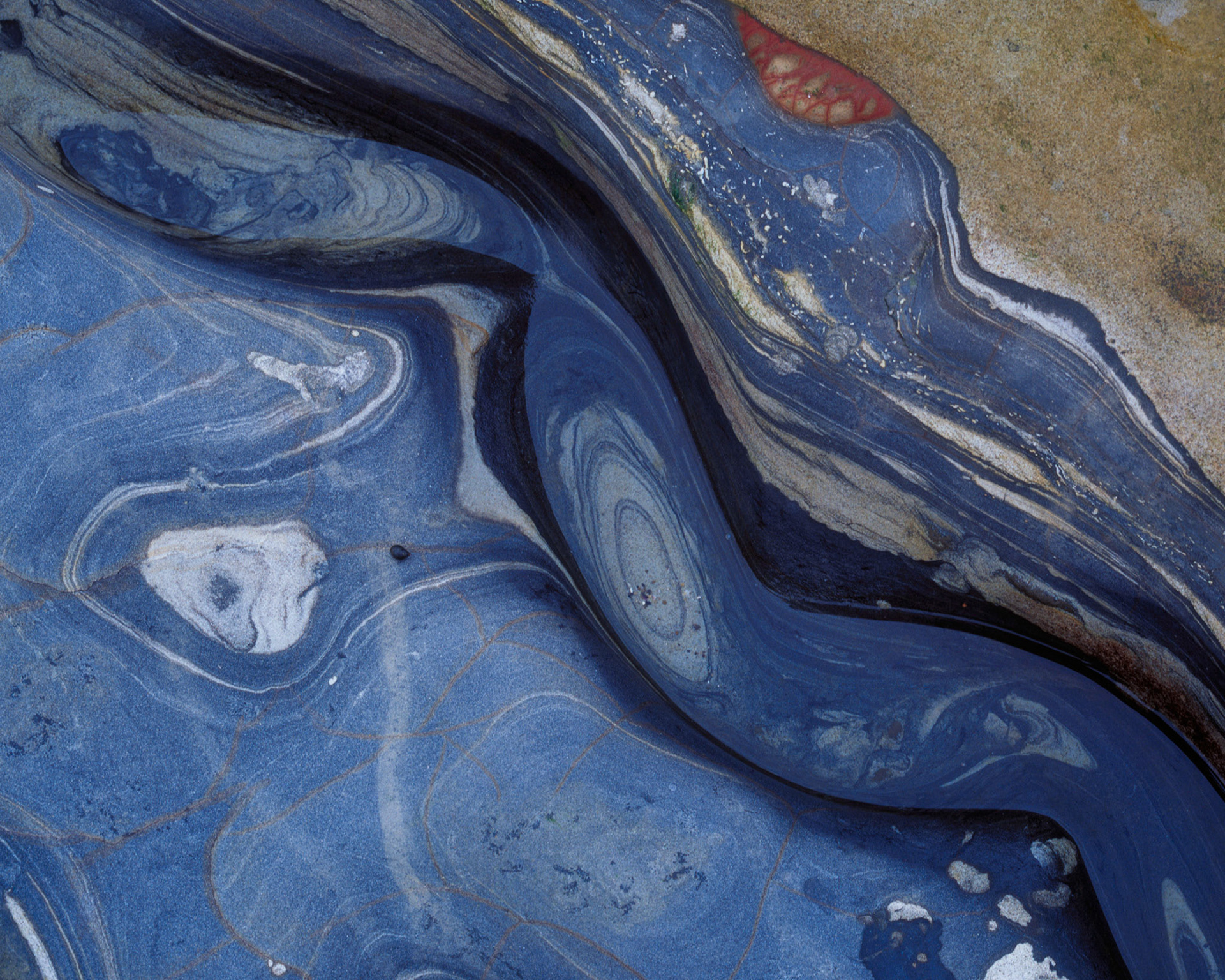 Mind's Eye, Point Lobos, 2004