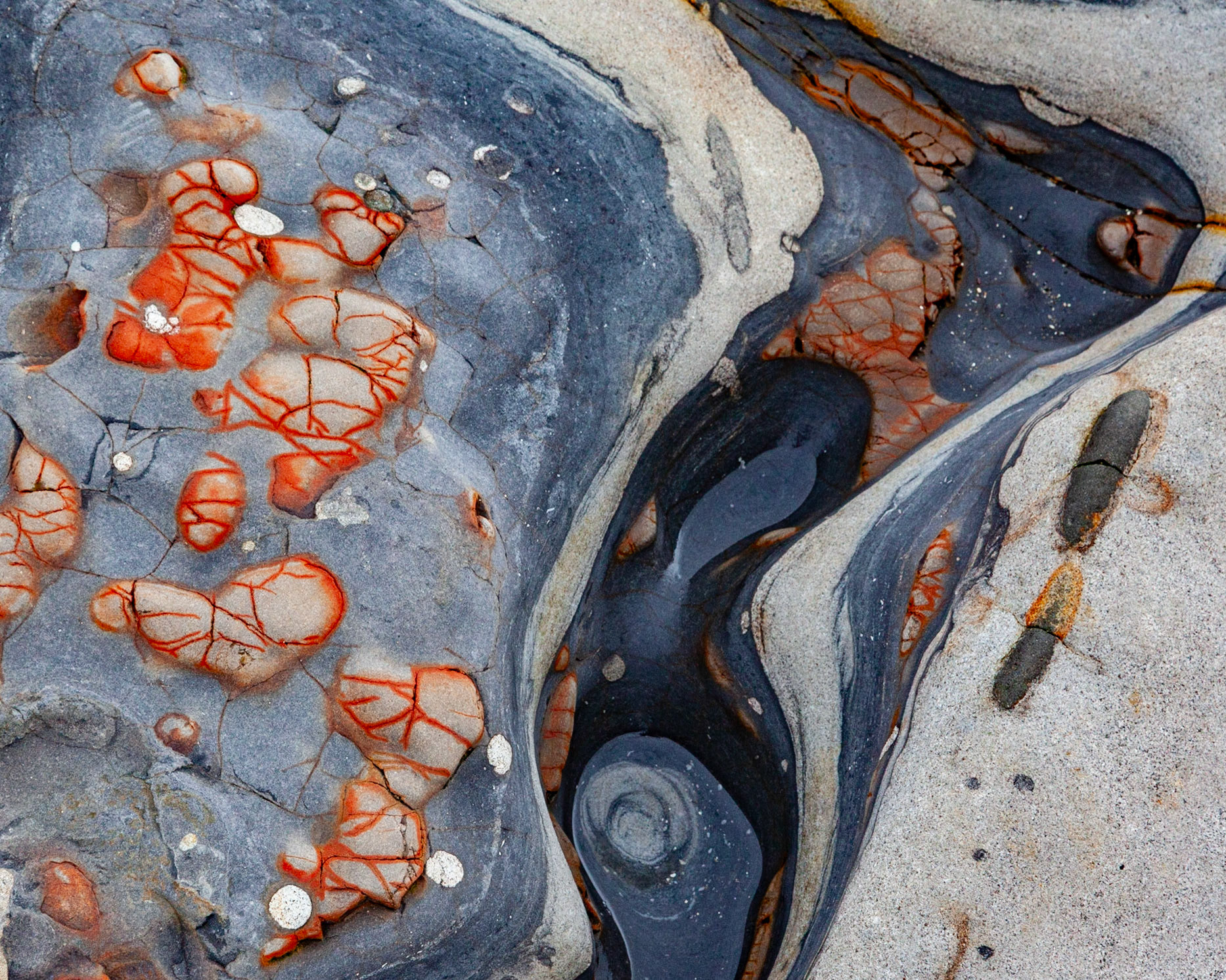 Red Lines, Point Lobos, 2020