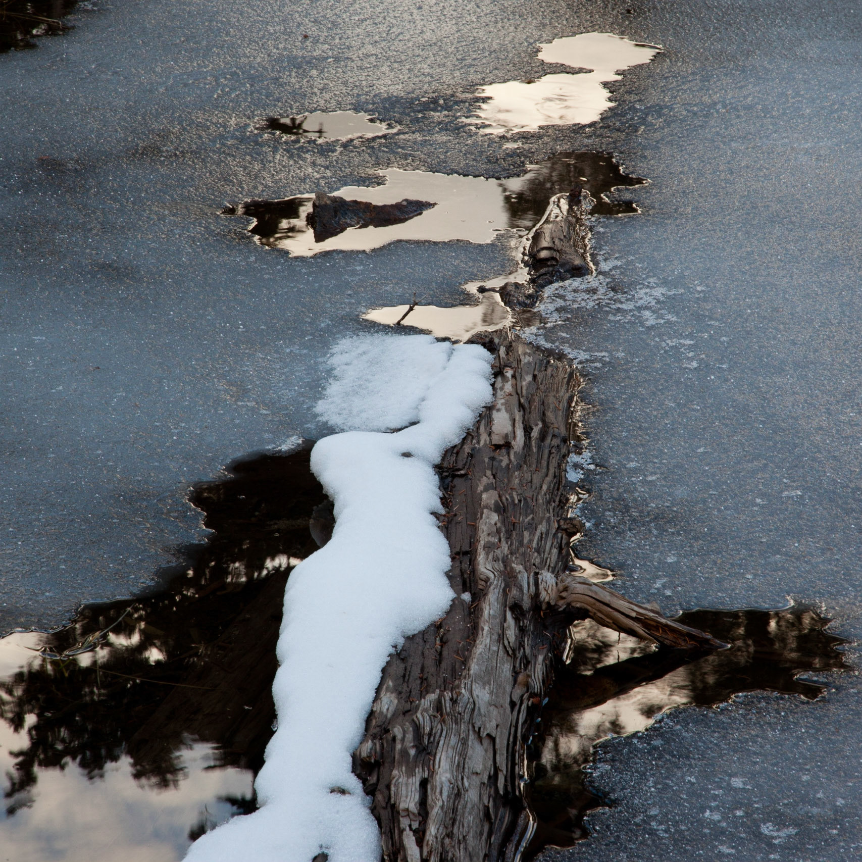 First Ice, Dream Lake, 2009
