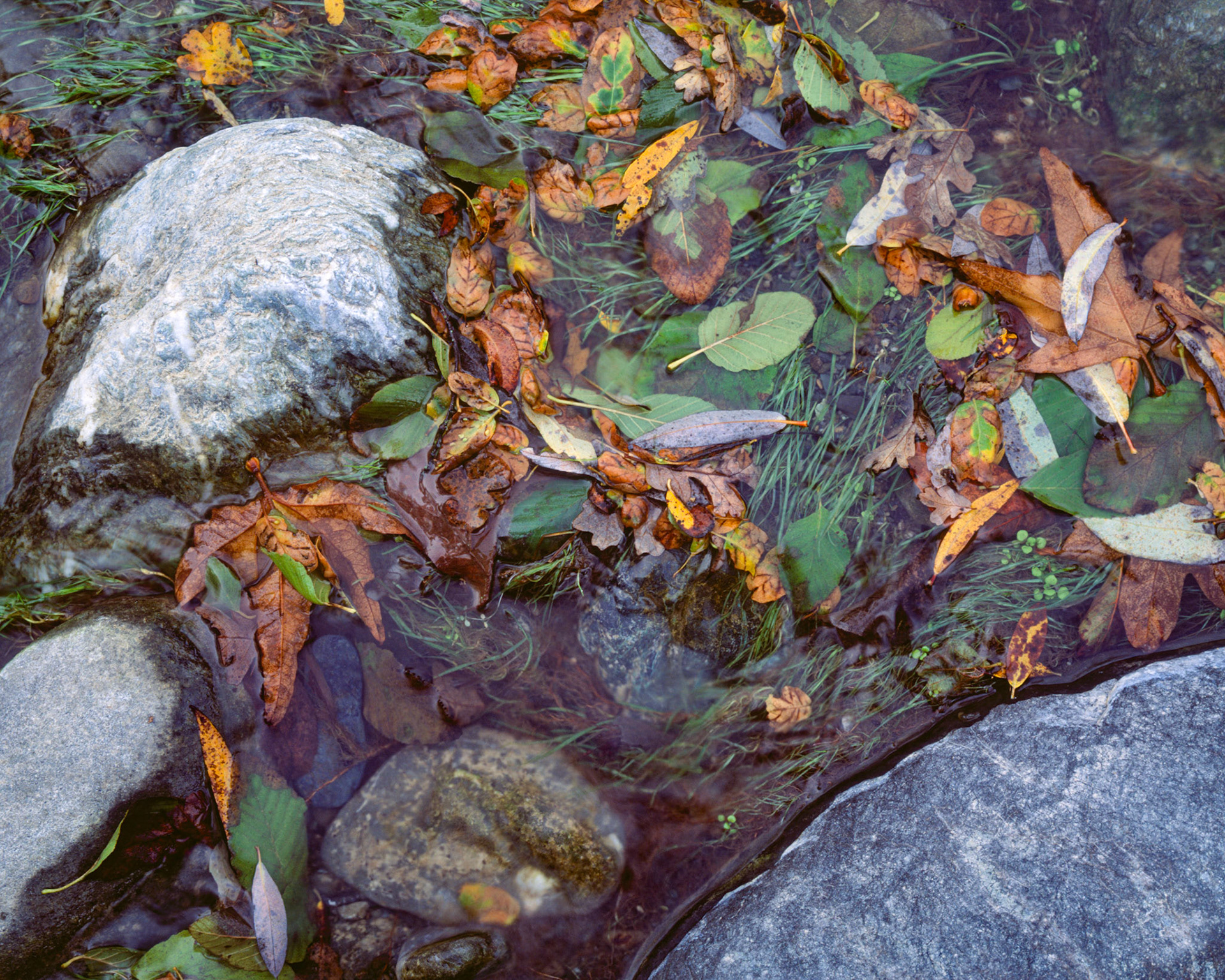 Alameda Creek, Sunol, 2003
