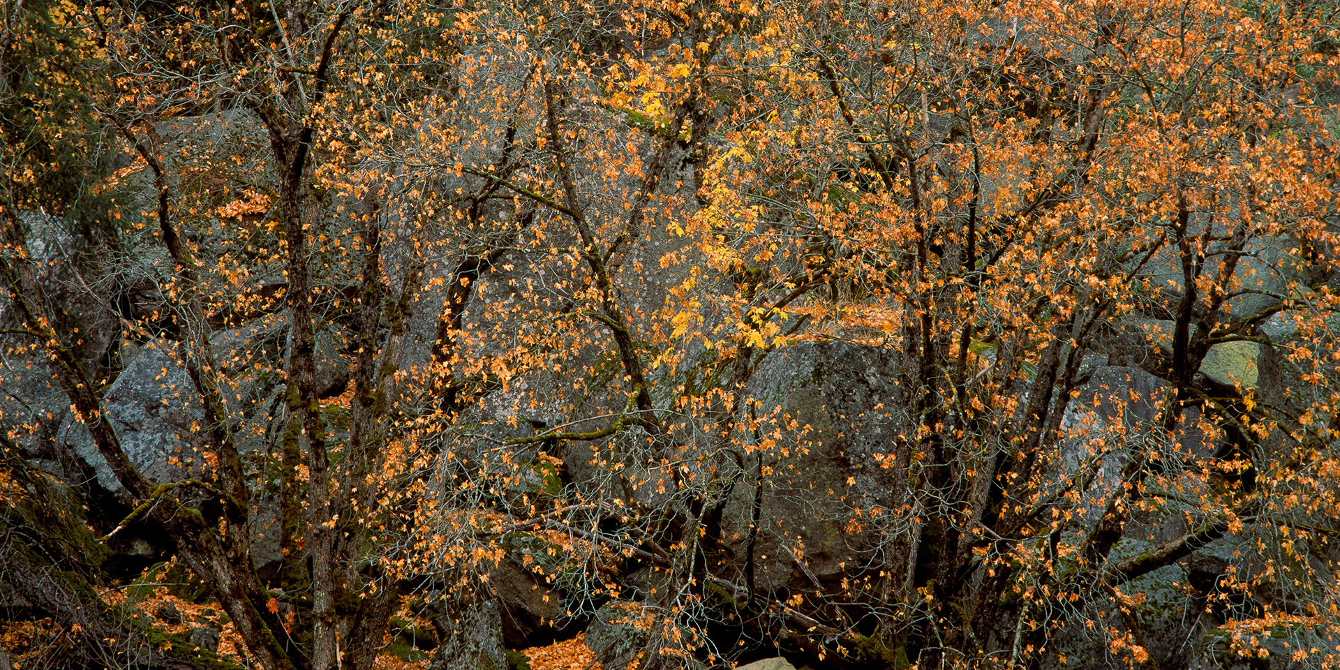 Merced Boulders, Yosemite, 2006
