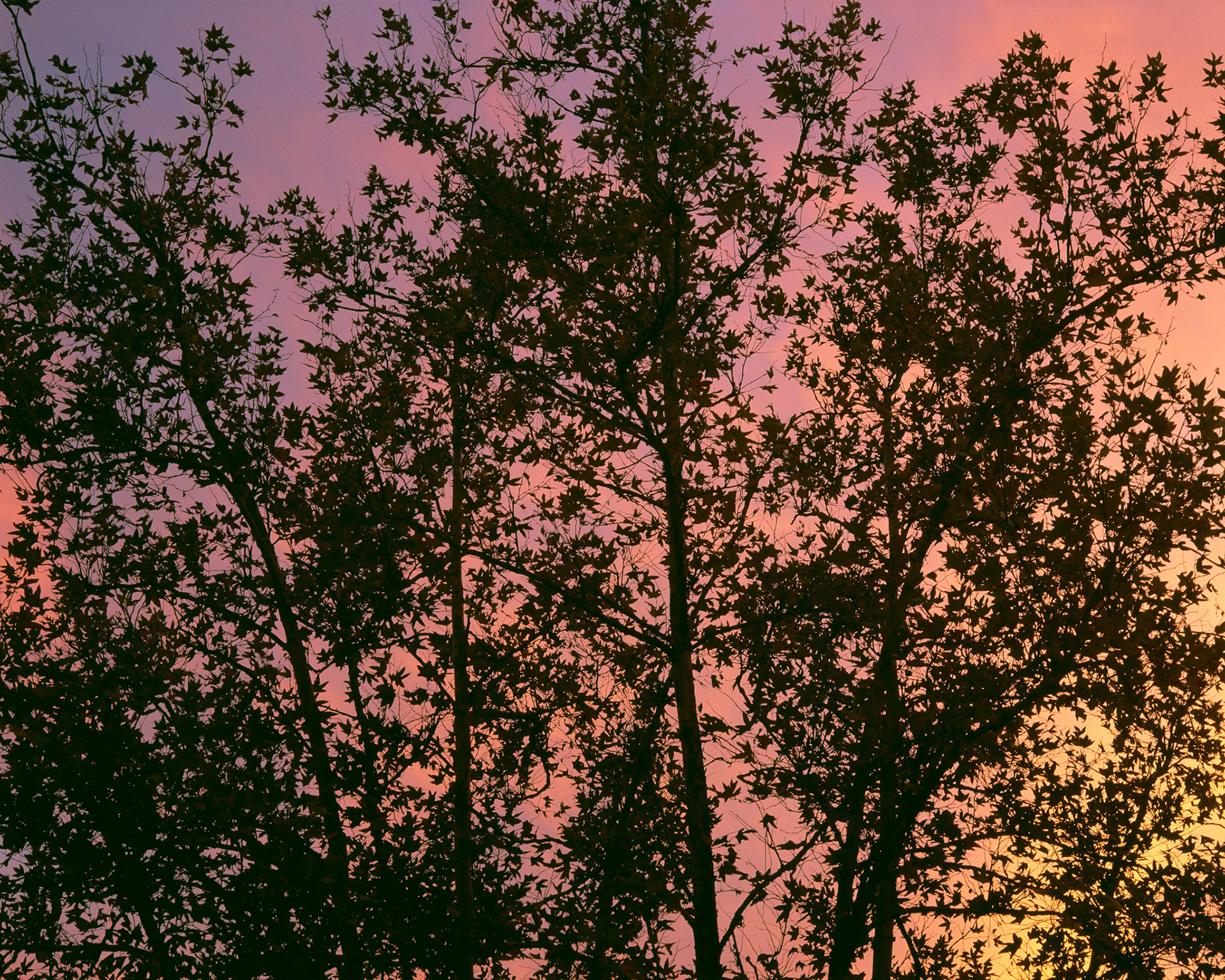 Evening Sky, Sunol, 2002