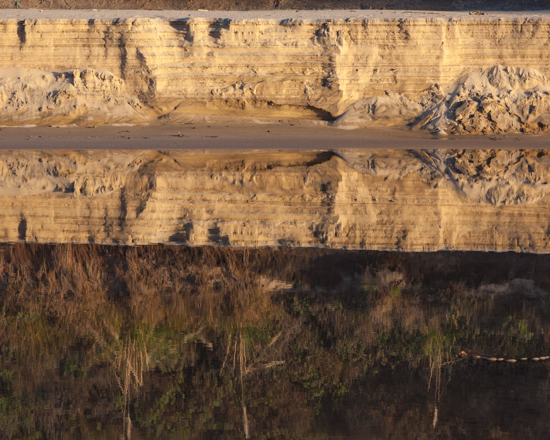 Reflection, Pomponio, 2016