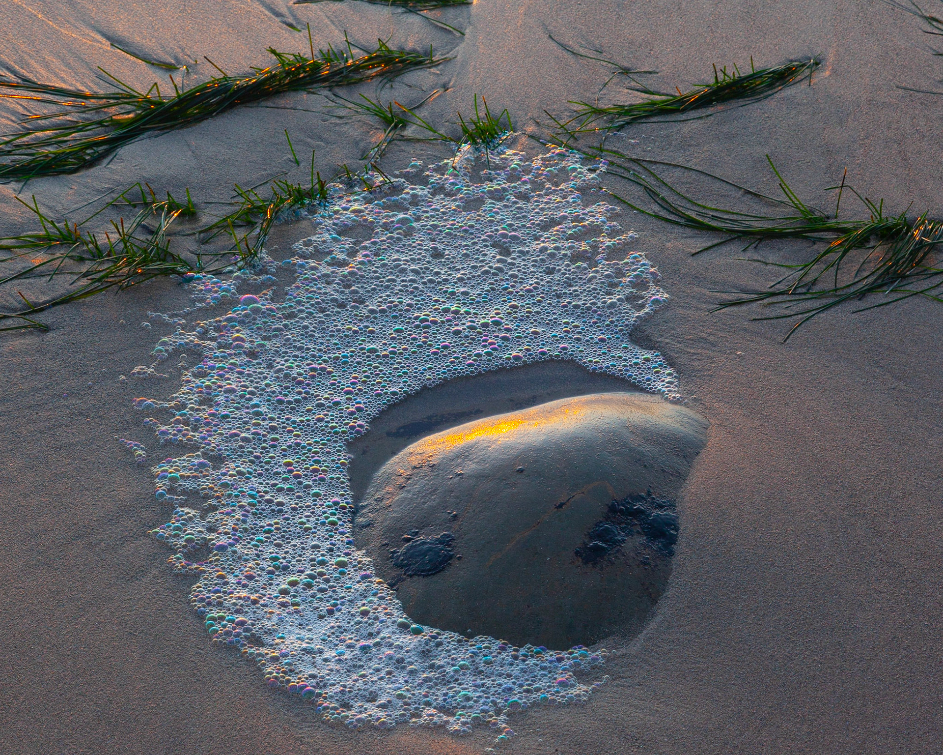 Rainbows, Point Arena, 2019