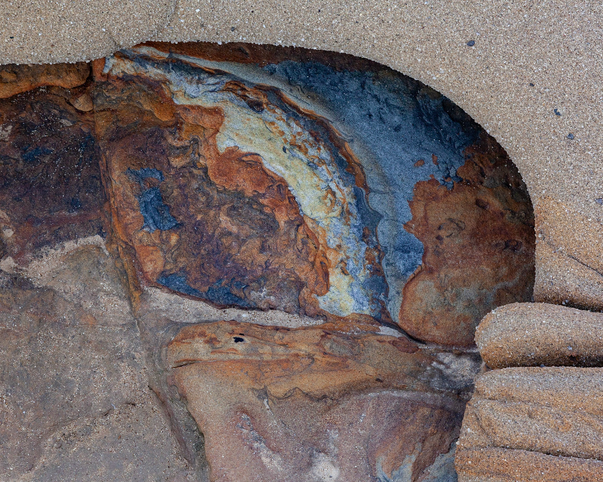 Concavity, Point Lobos, 2020