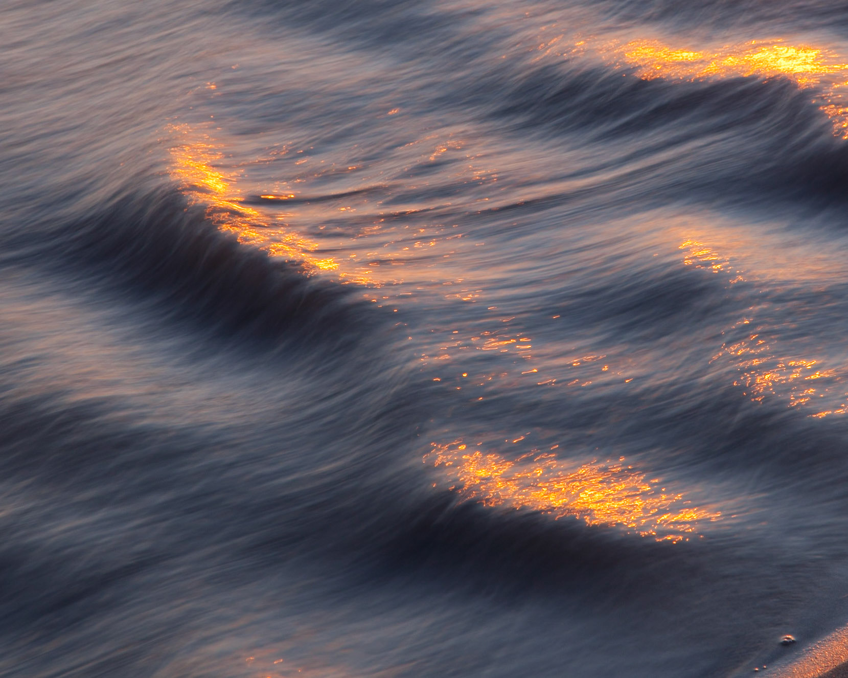 Sun Crest, Pomponio, 2011