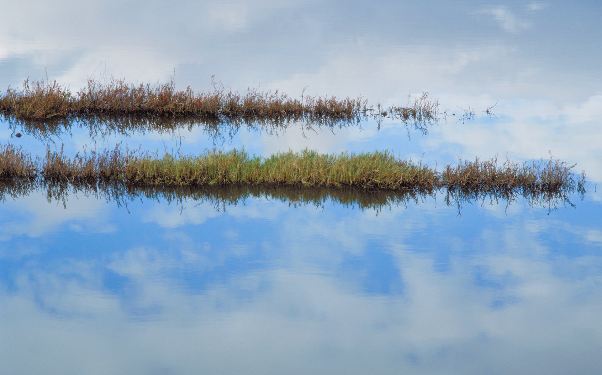Marsh and Sky, San Francisco Bay, 1999