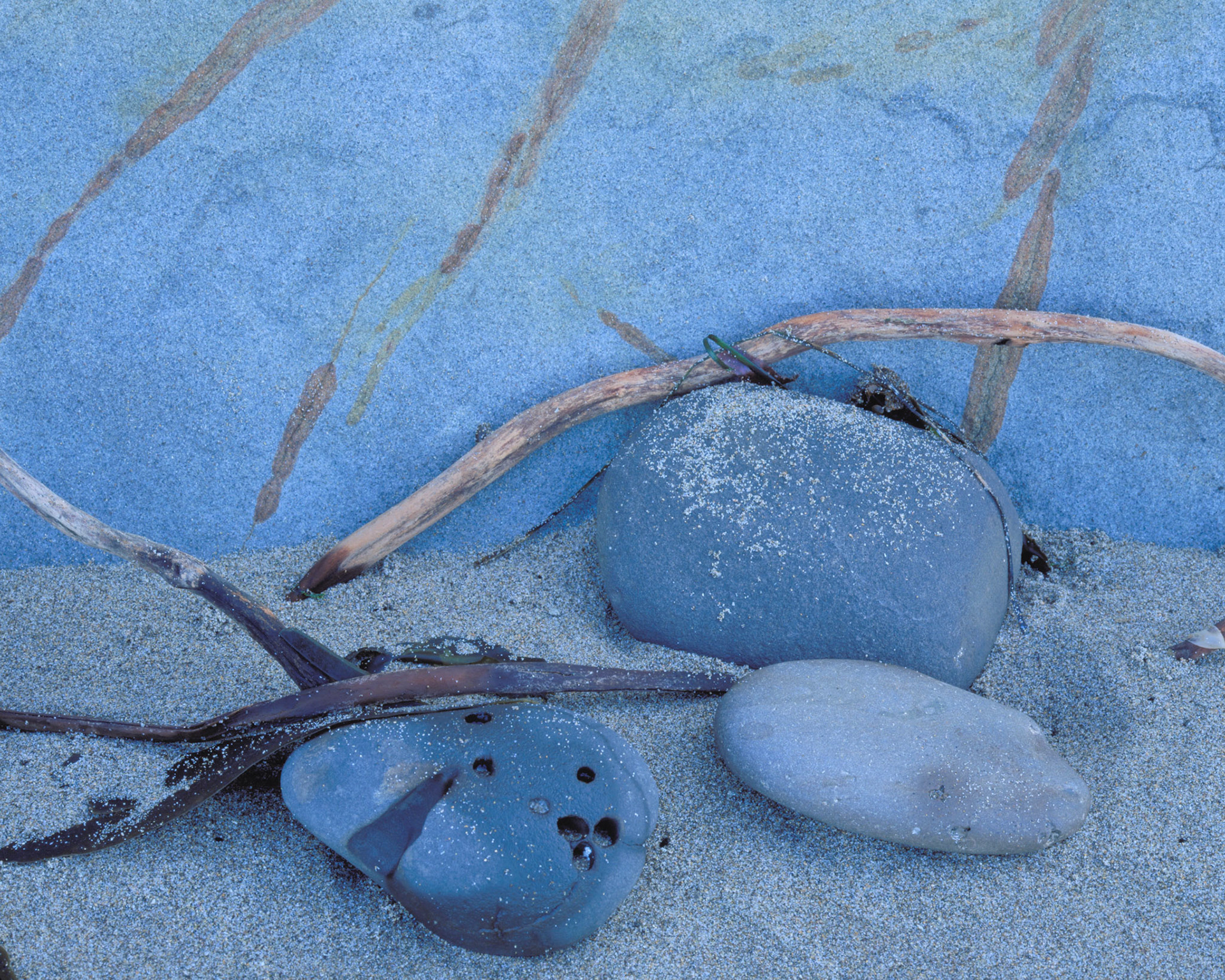 Blue Tableau, Point Arena, 1999