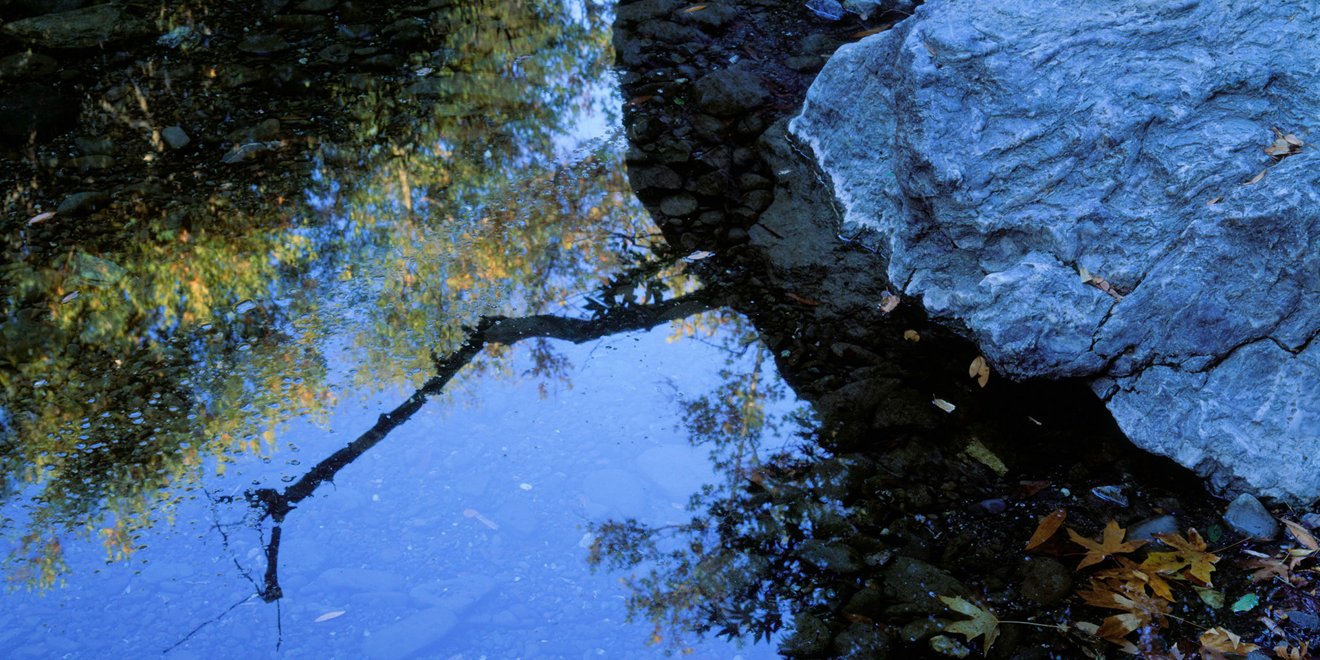 Stream Palette, Sunol, 2006