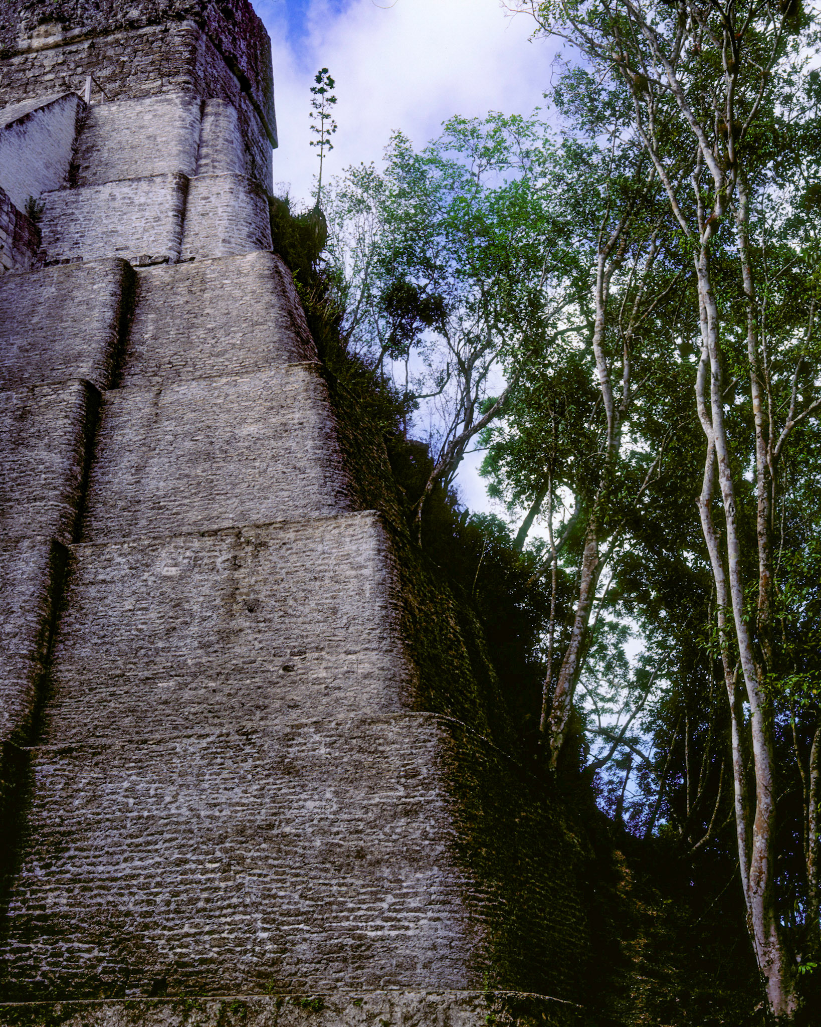 Mayan Temple, Tikal, 2005