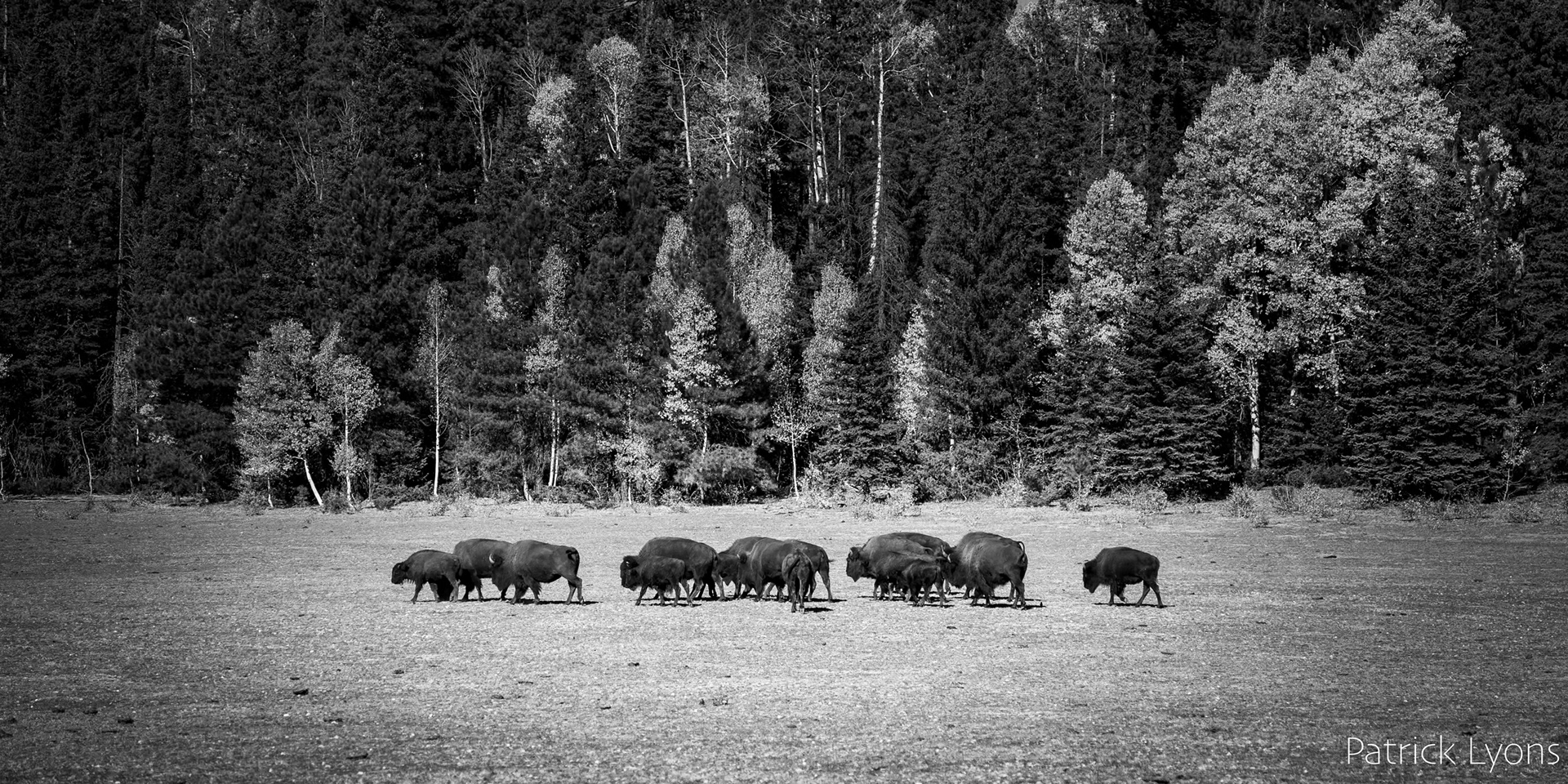 North Rim of Grand Canyon