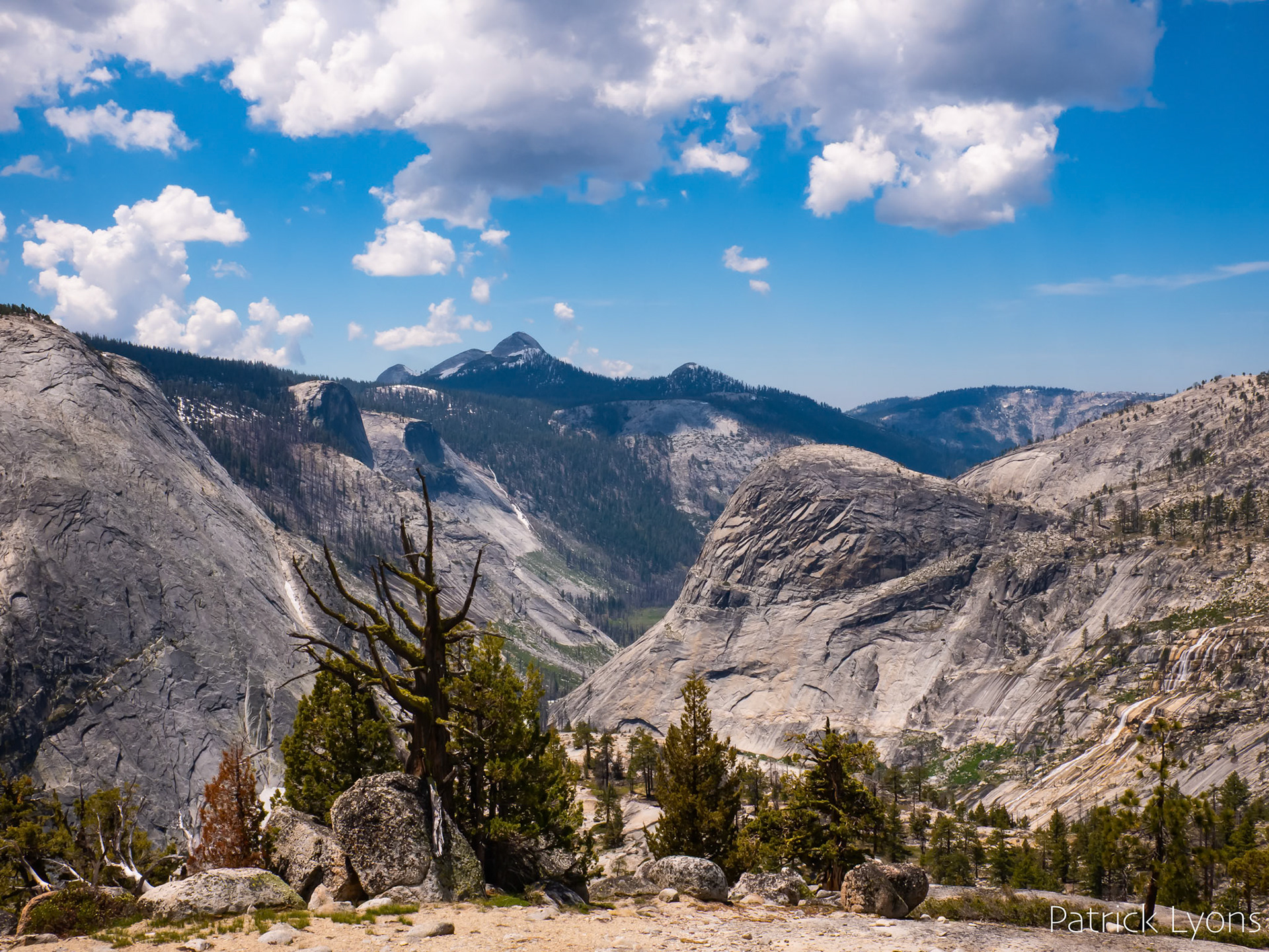 Domes of Yosemite