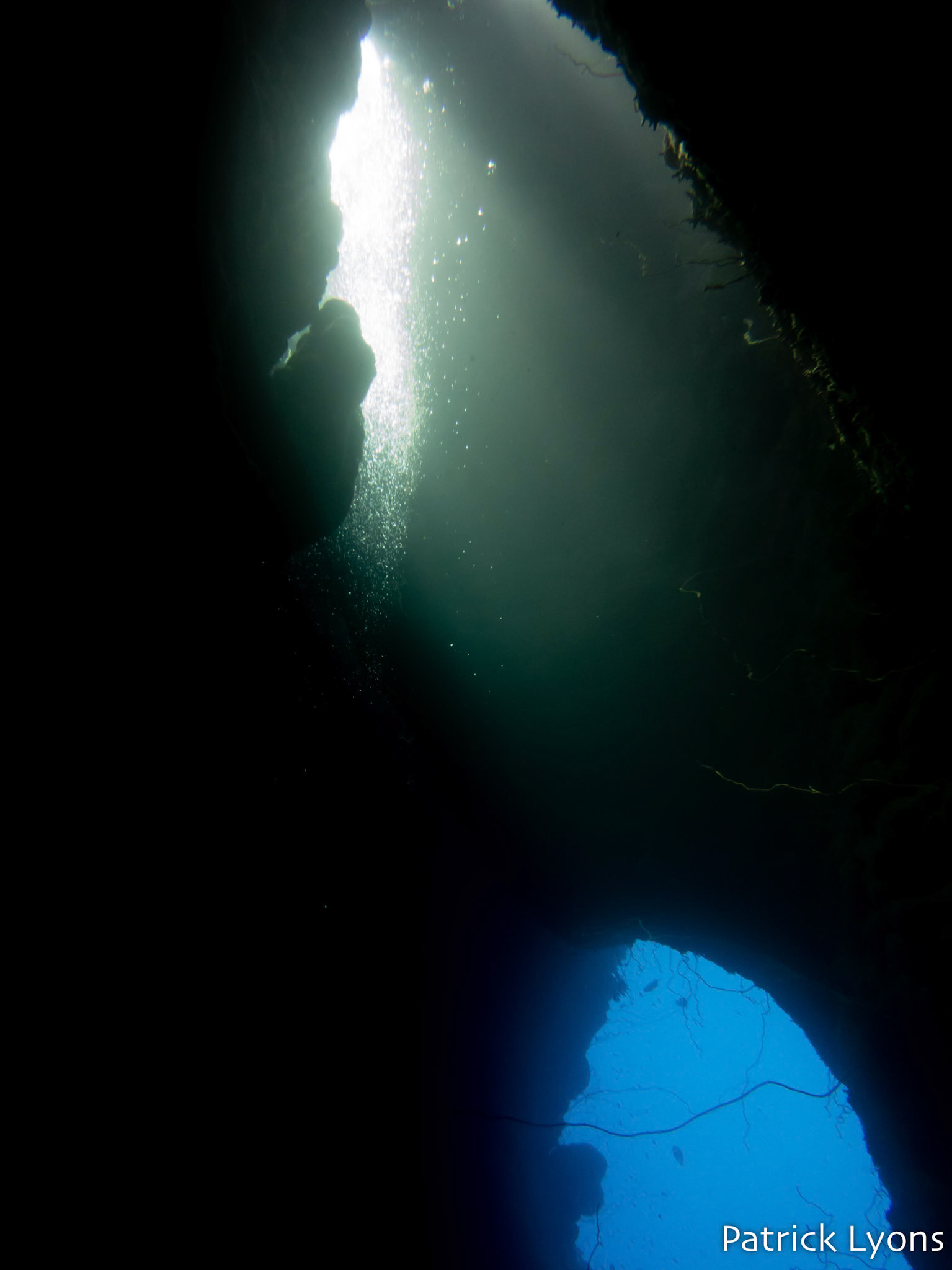 Swimthrough in the Red Sea