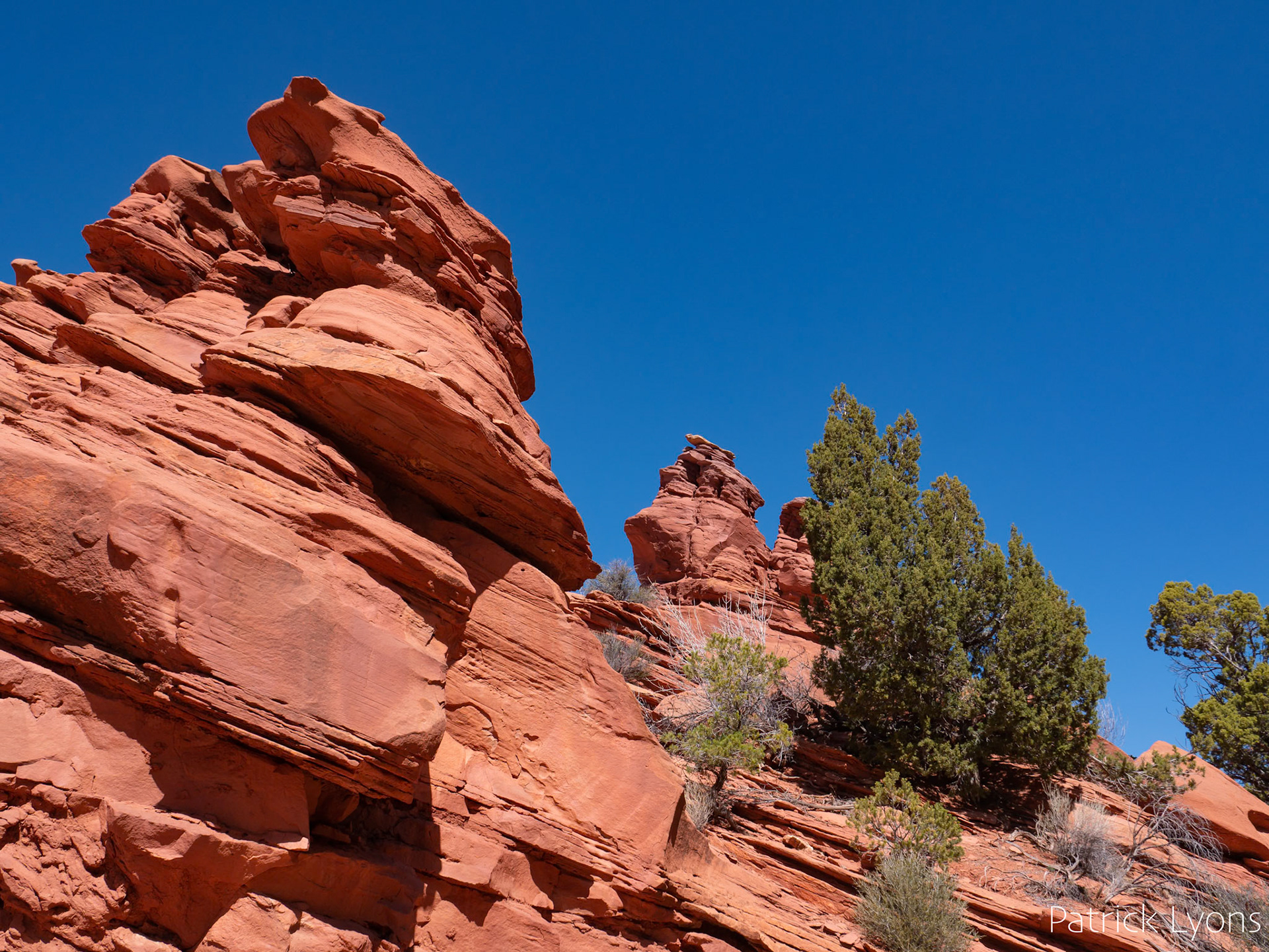 Capitol Reef State Park
