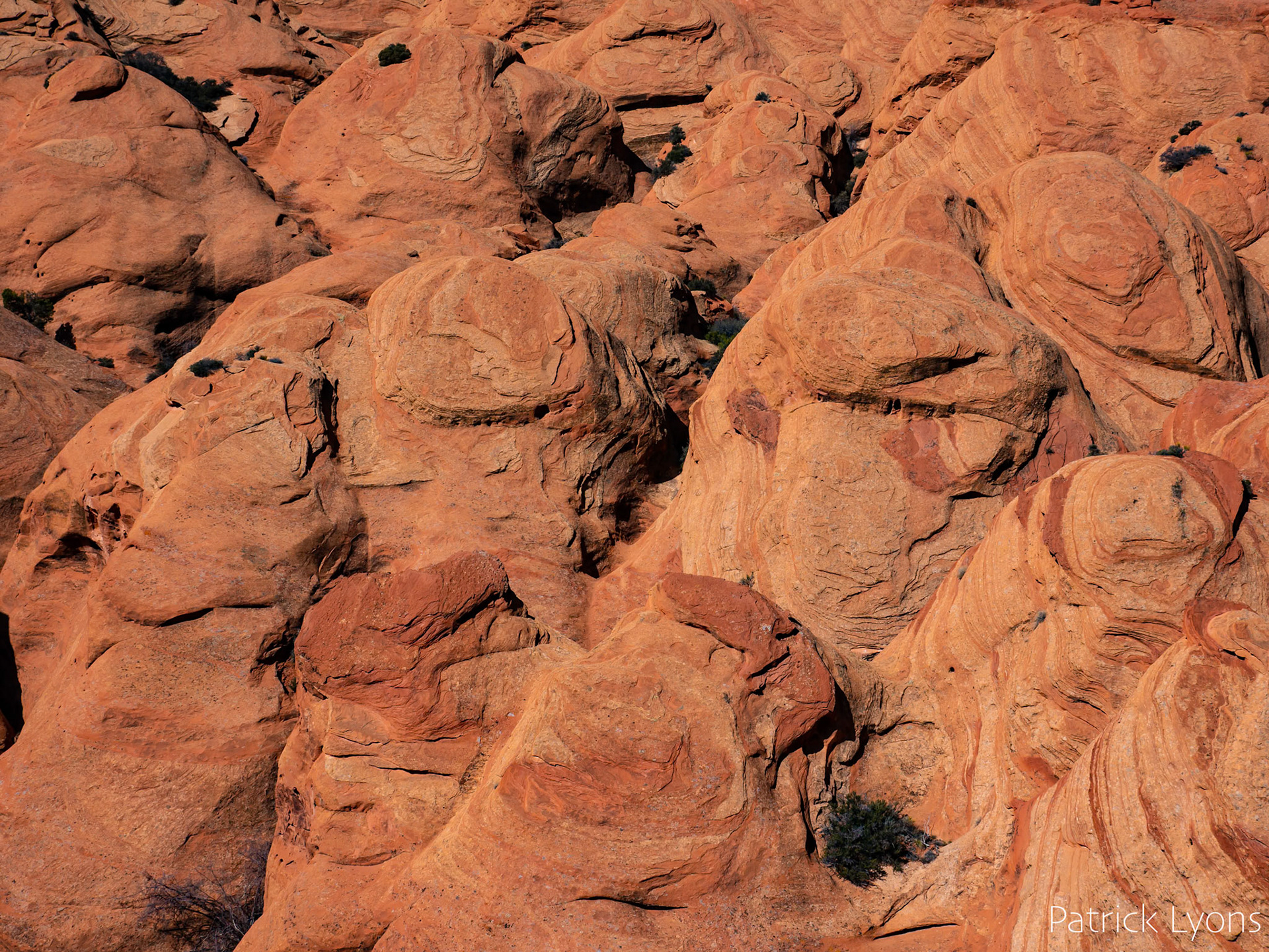 Capitol Reef State Park