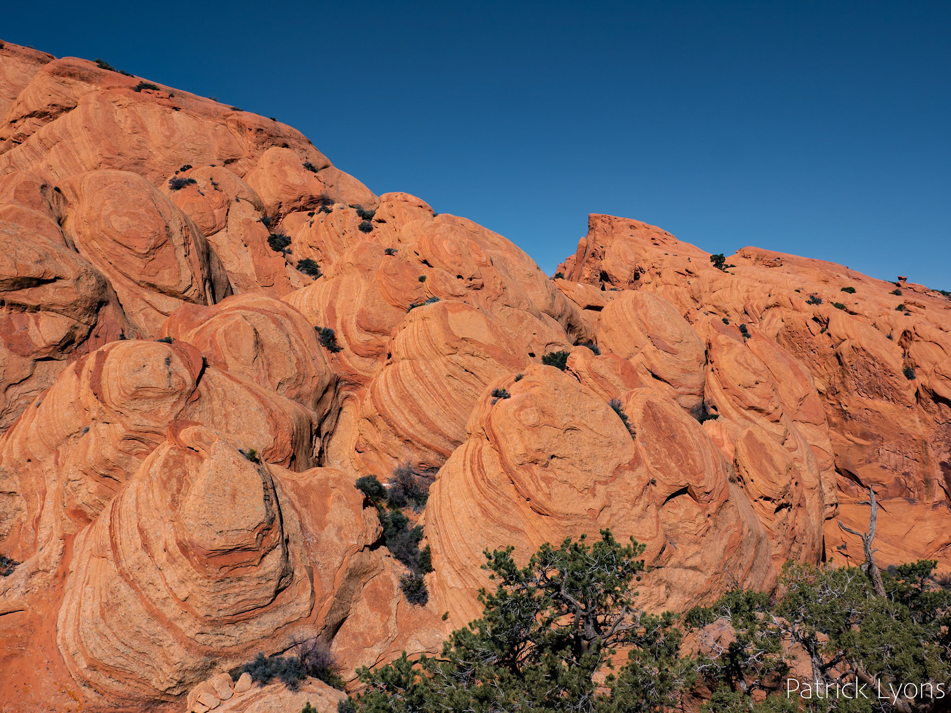 Capitol Reef State Park