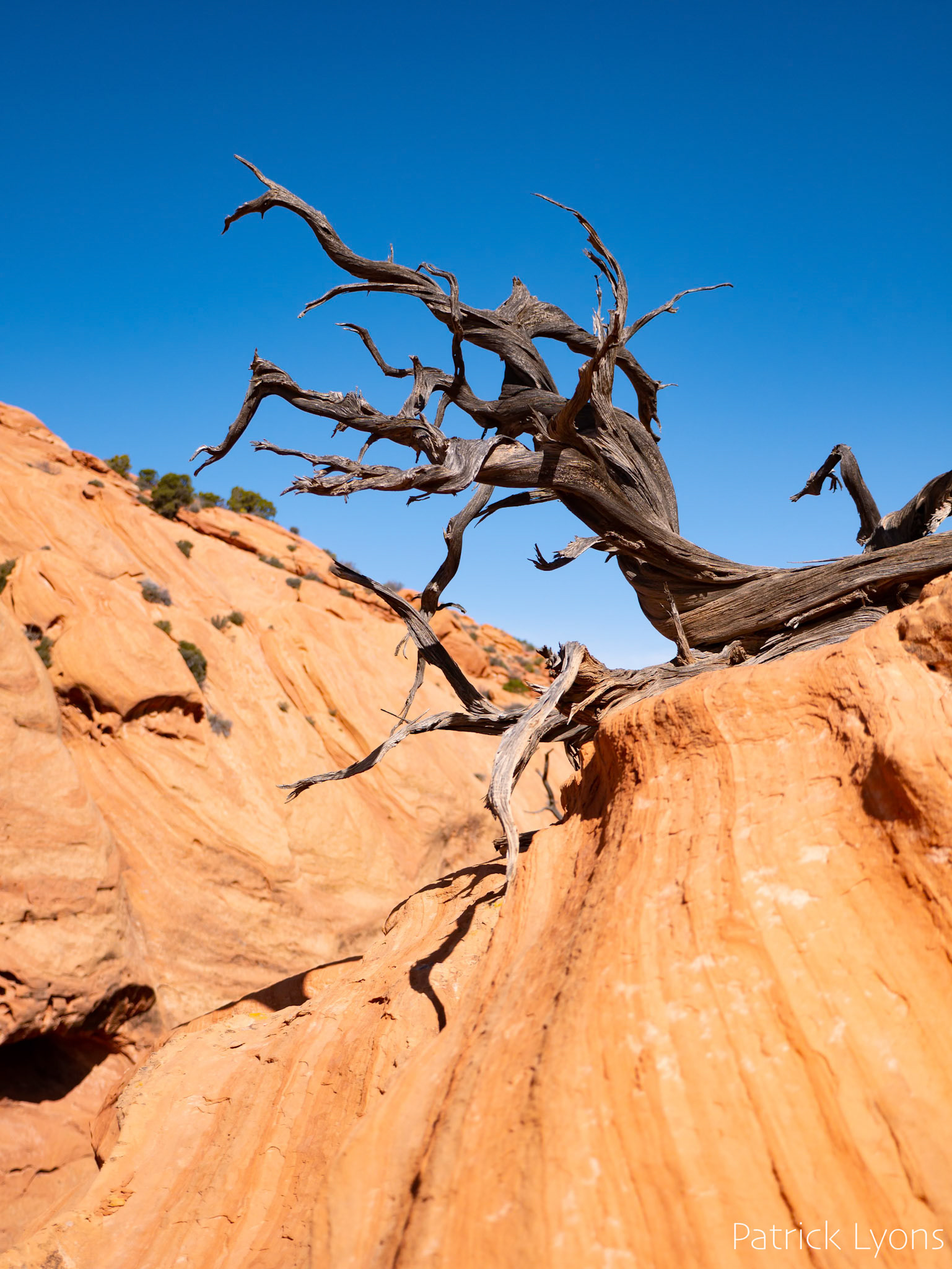 Capitol Reef State Park
