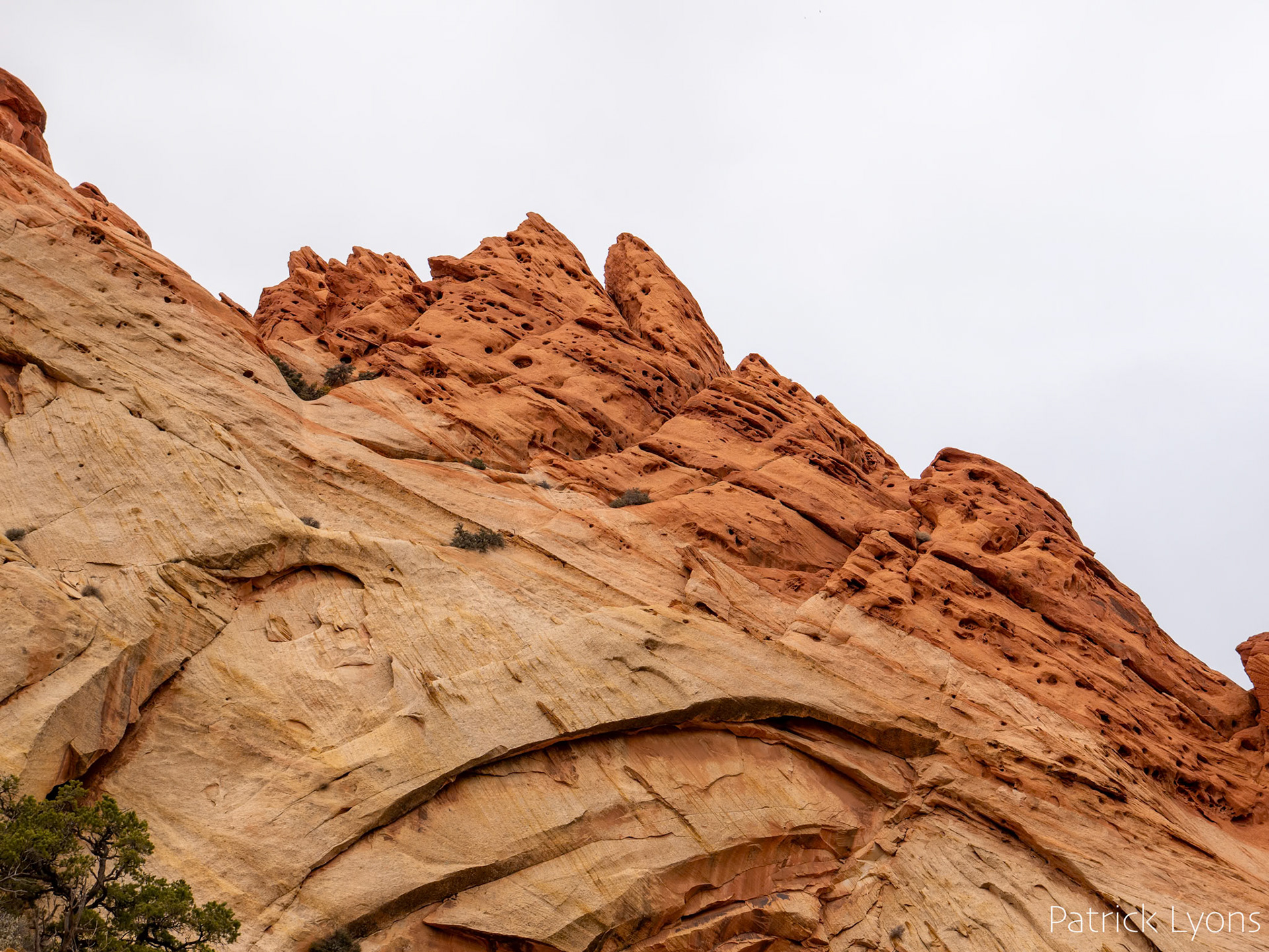 Capitol Reef State Park