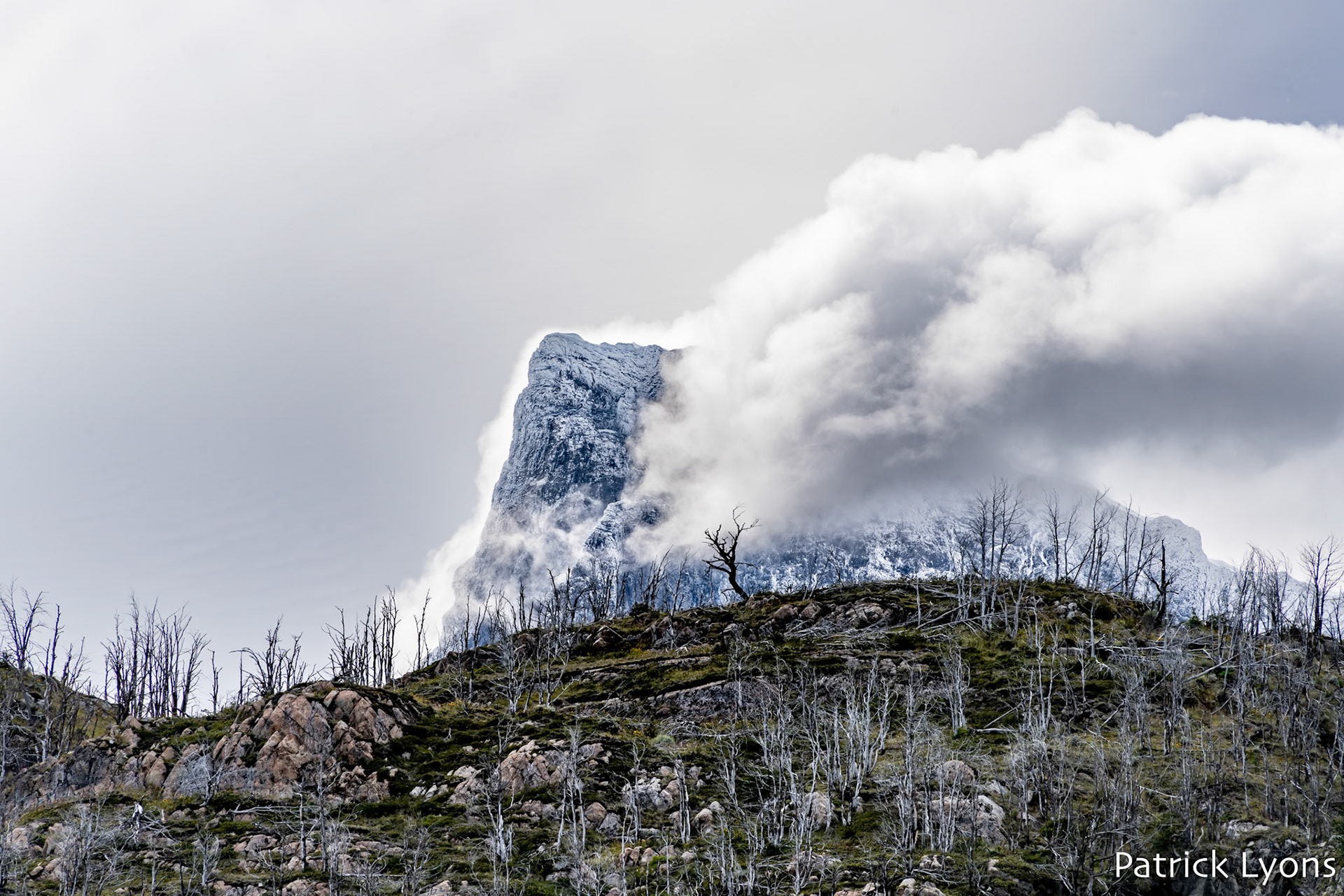 Cerro Paine Grande - Torres del Paine National Park