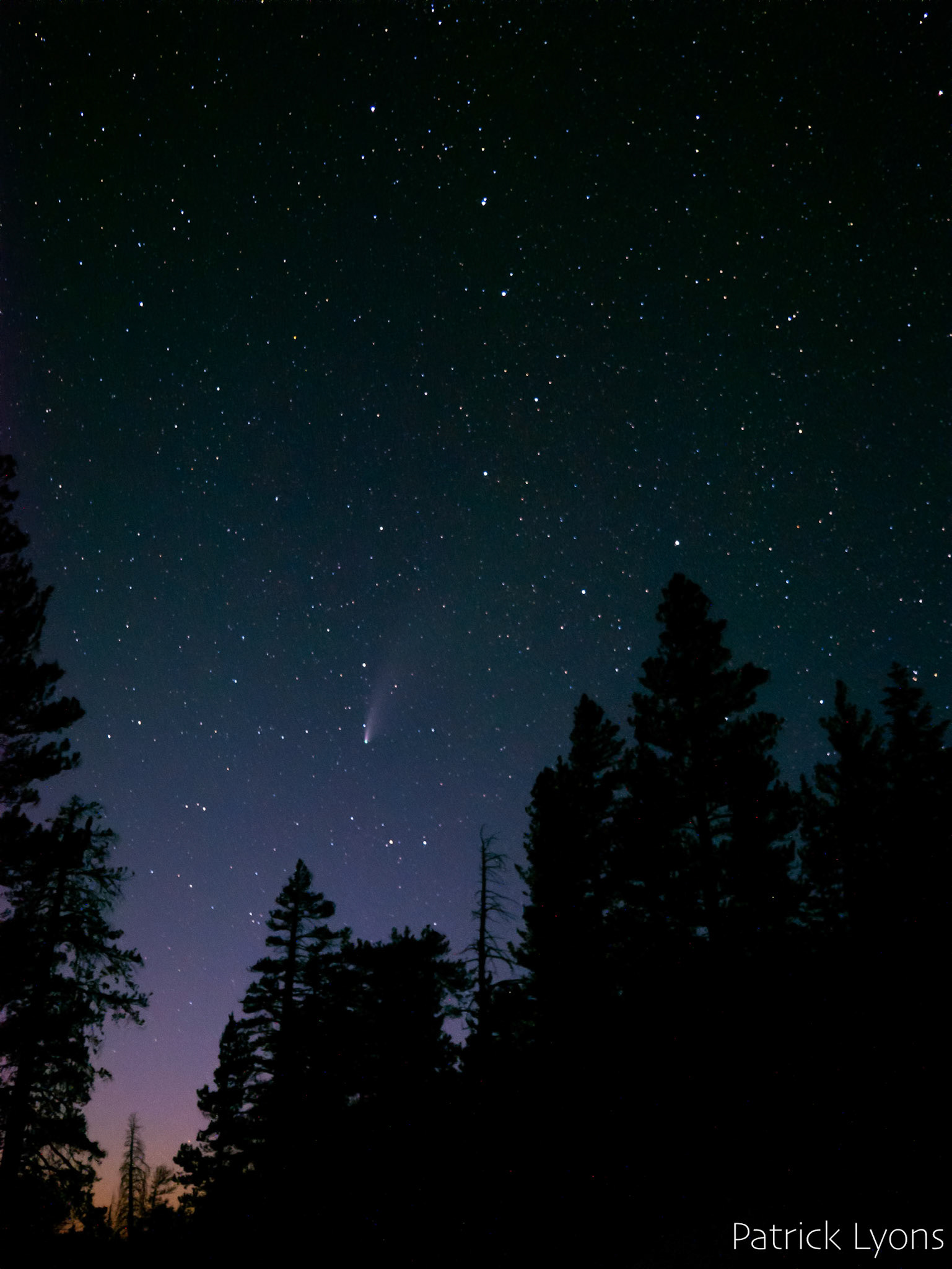 Neowise Comet in the night sky in Sequoia National Park