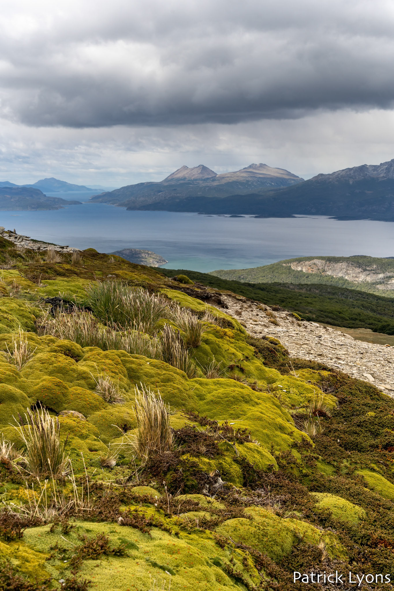 Mirador Cerro Guanaco - Tierra del Fuego National Park
