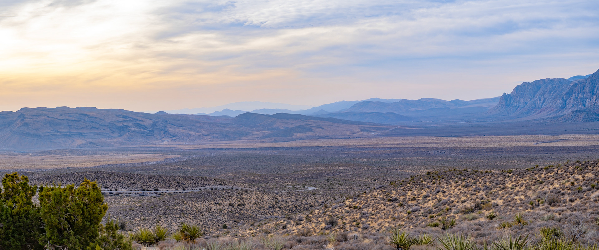 Las Vegas Desert