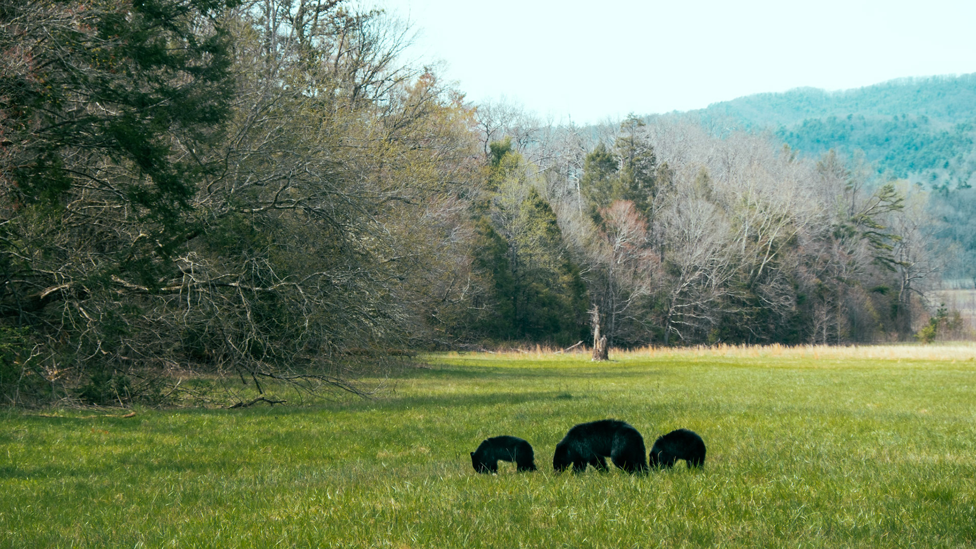 Smoky Mountain, Tennessee