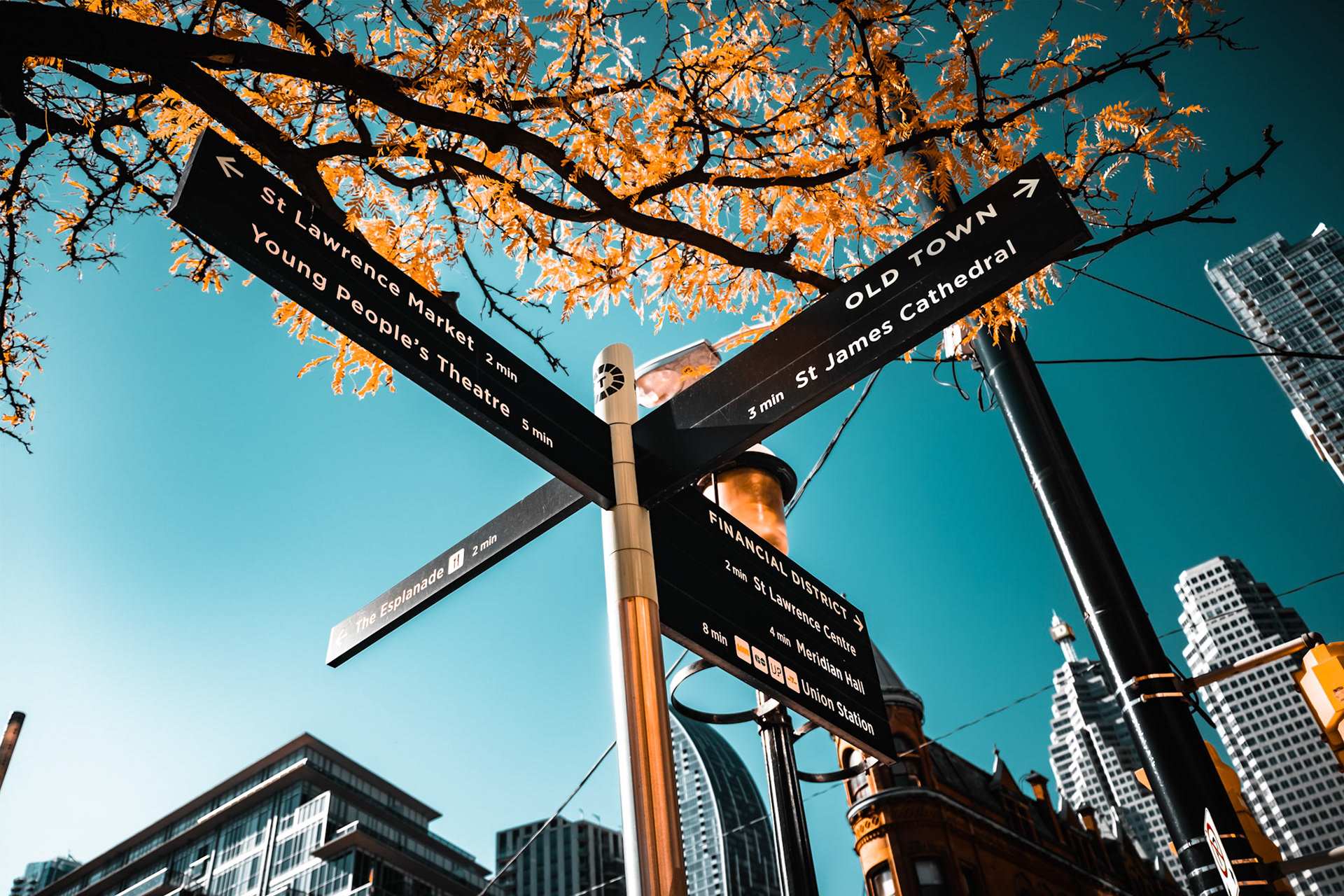Signs near the Flat Iron Building