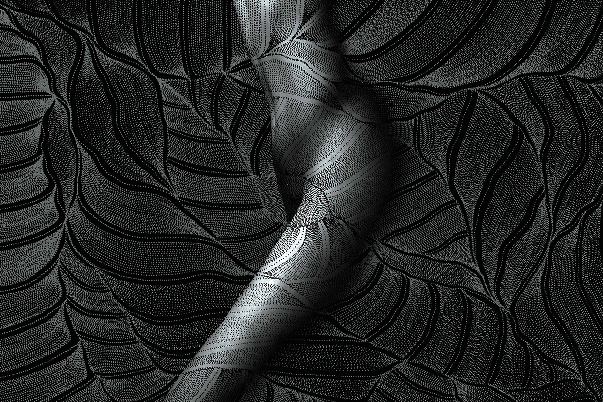 Wayne Quilliam Lowanna