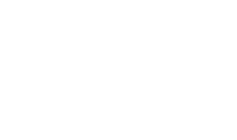 Vicente Donoso