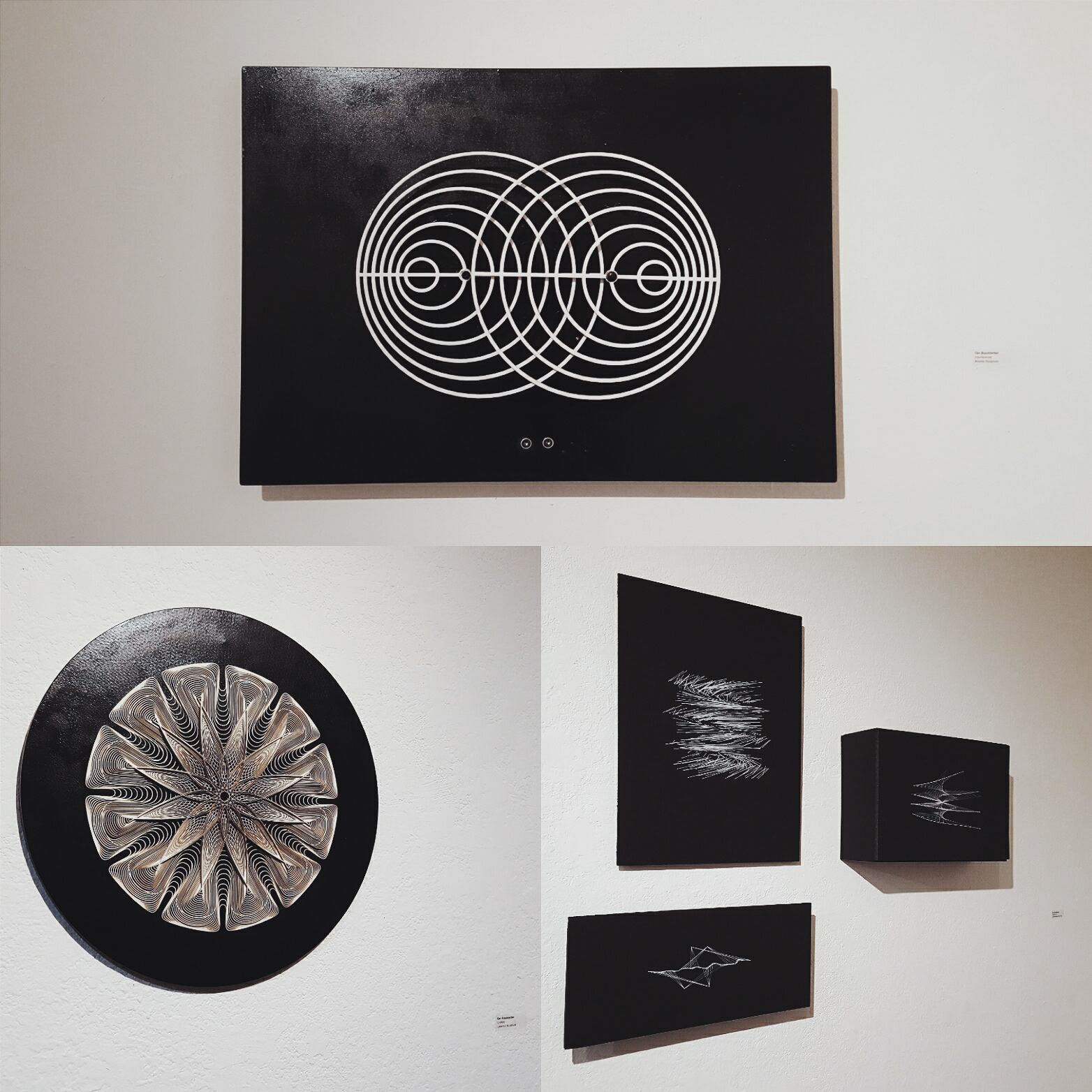 Swell Gallery, San Francisco, 2016