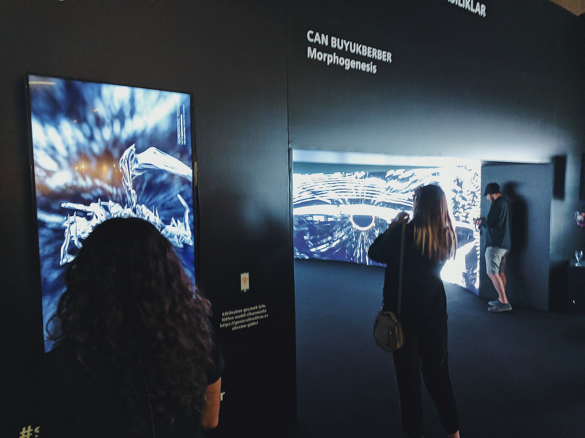 Contemporary Istanbul, 2017, gridistanbul.com