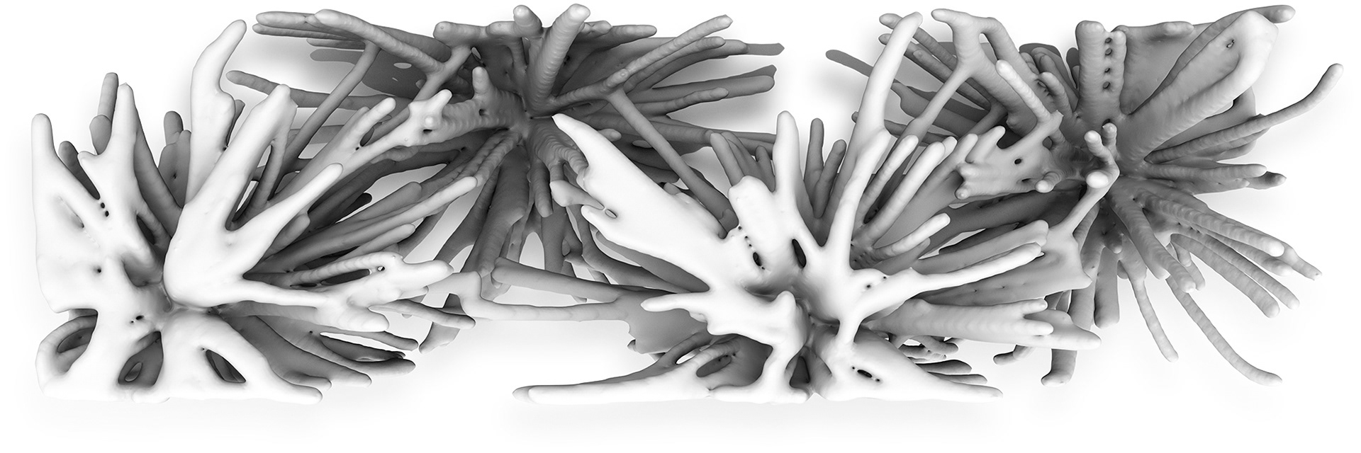 Stimuli Space, 2018