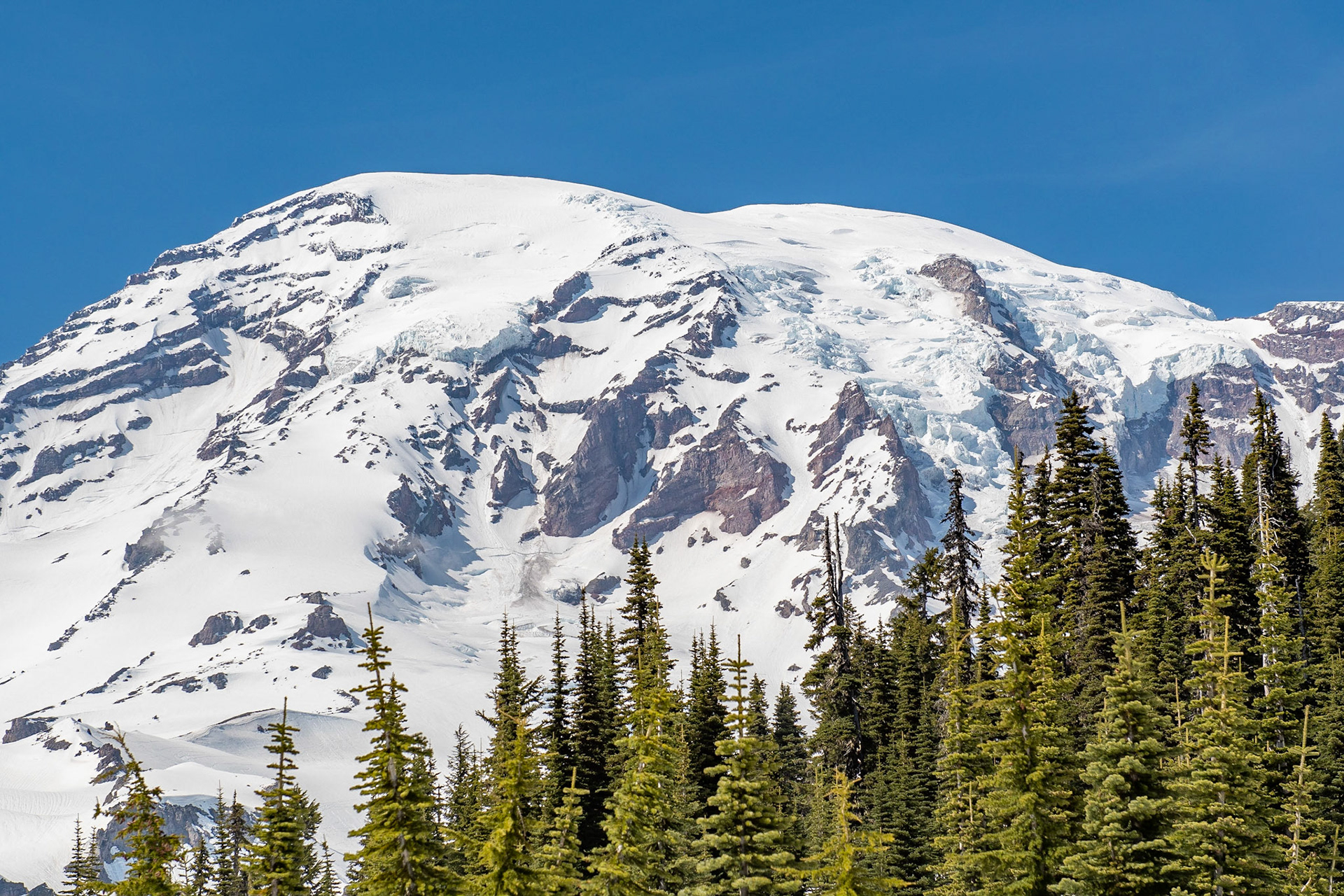 Mt Rainier National Park - Washington - USA