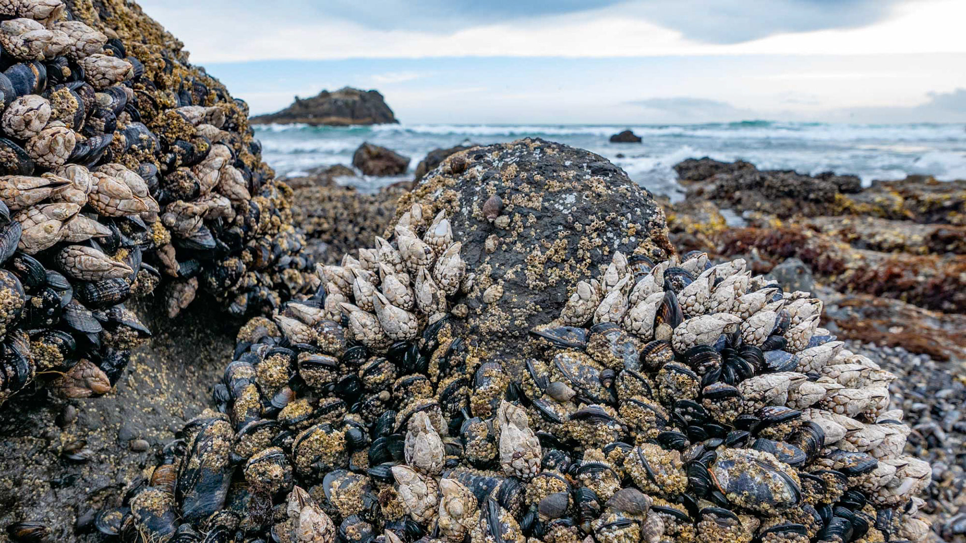 Newport - Oregon - USA (2019)