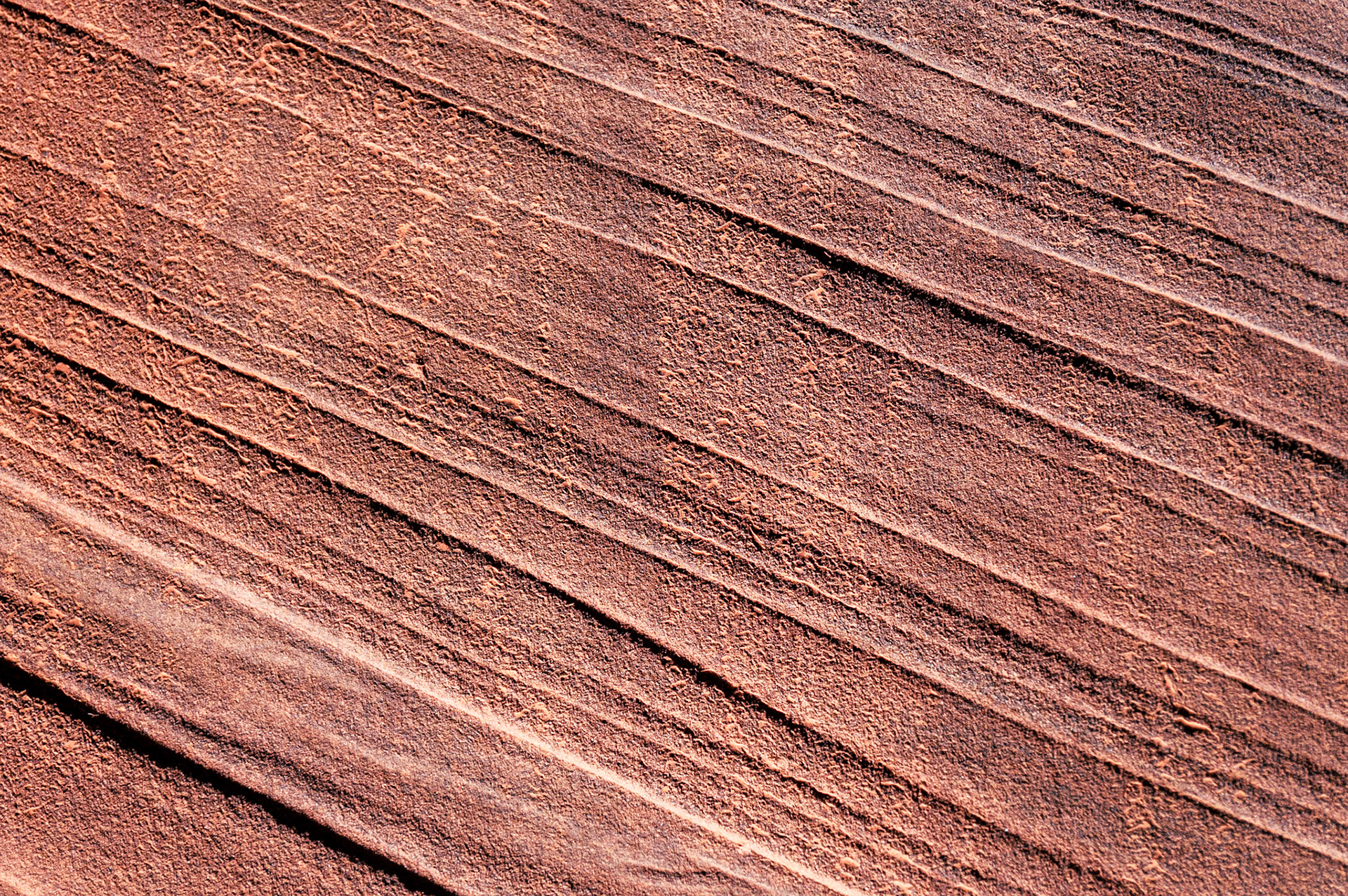 Wire Pass Trailhead - Utah - USA (2024)