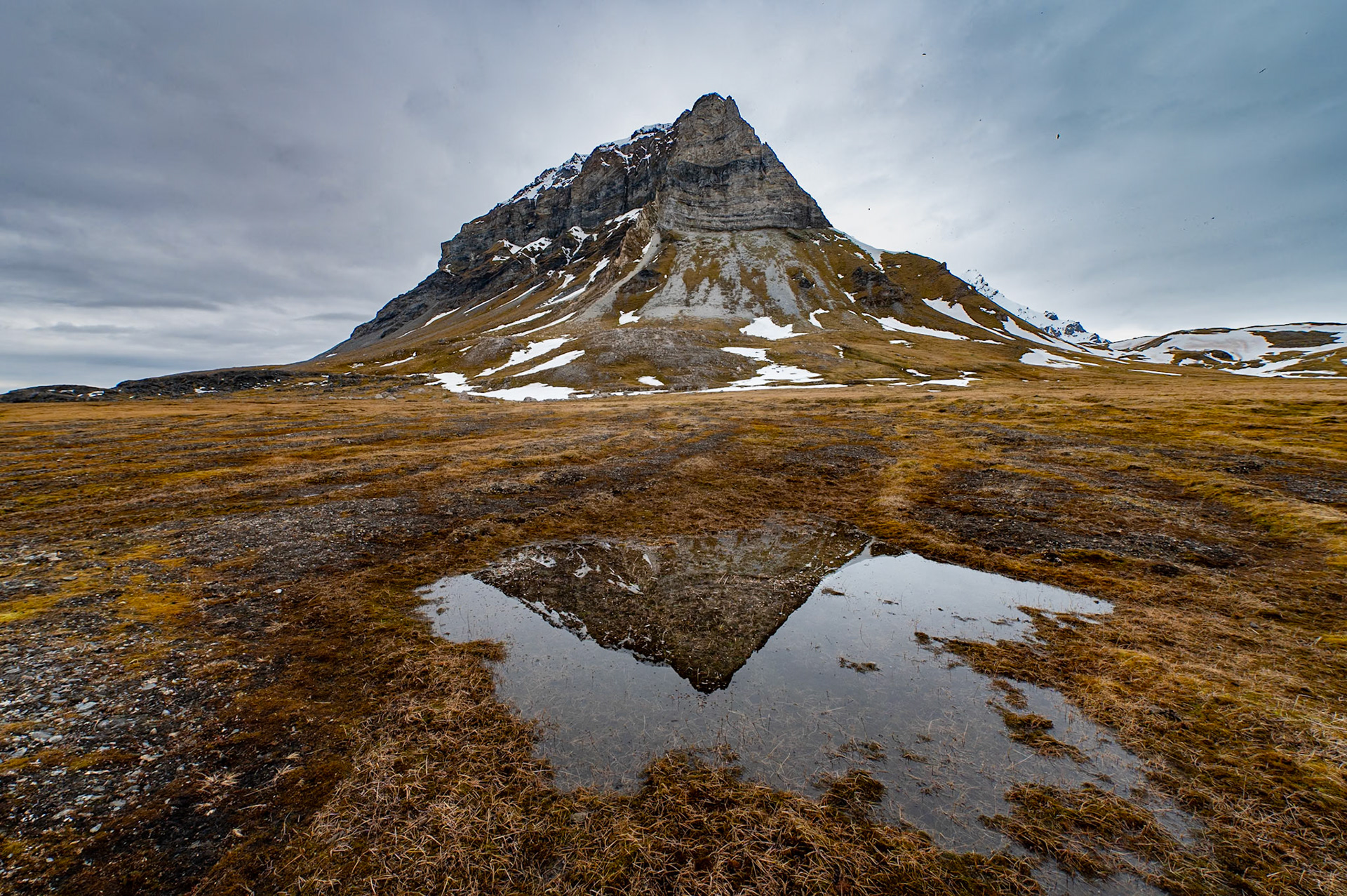 Alkhornet, Spitsbergen, Svalbard