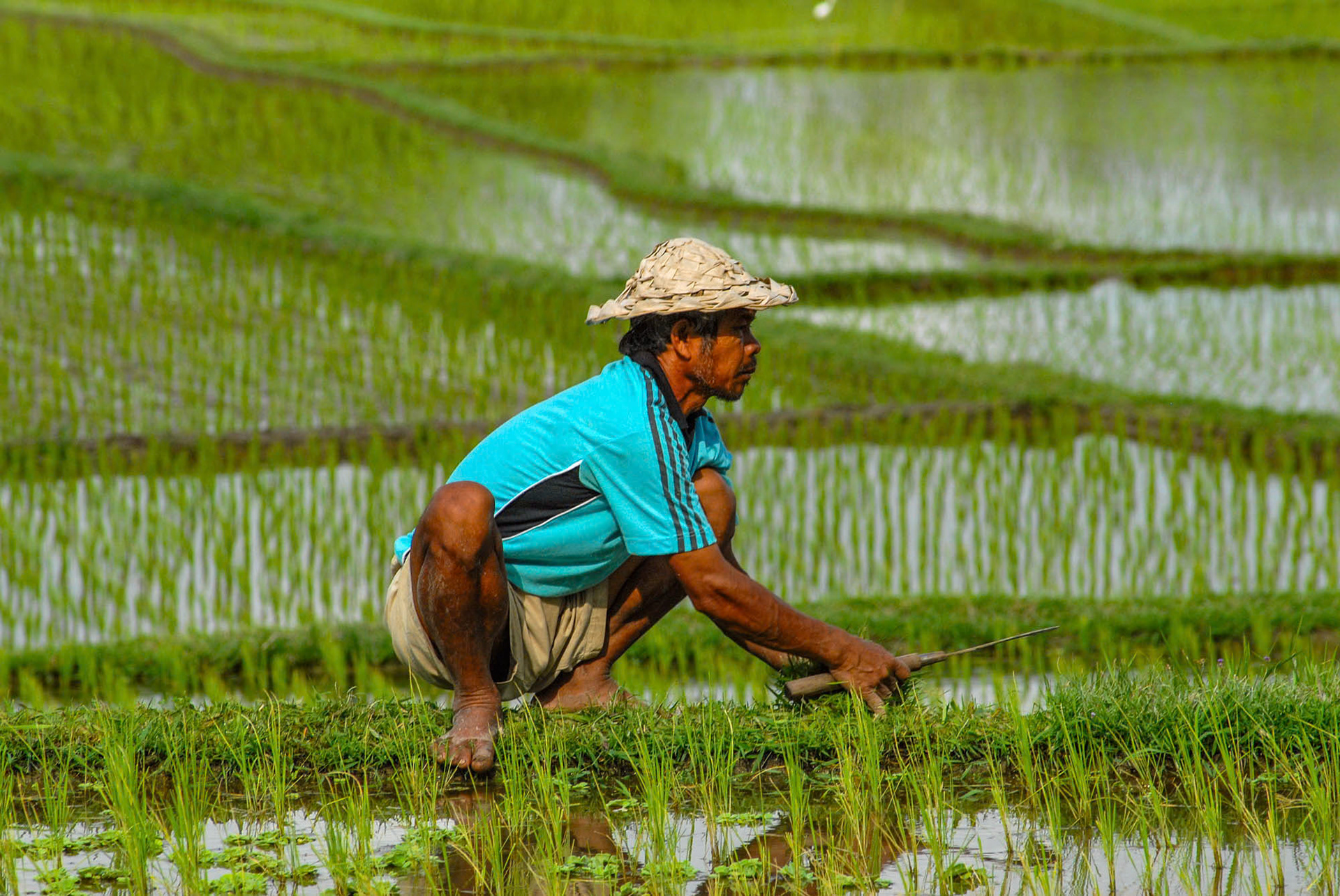 Bali - Indonesia (2007)