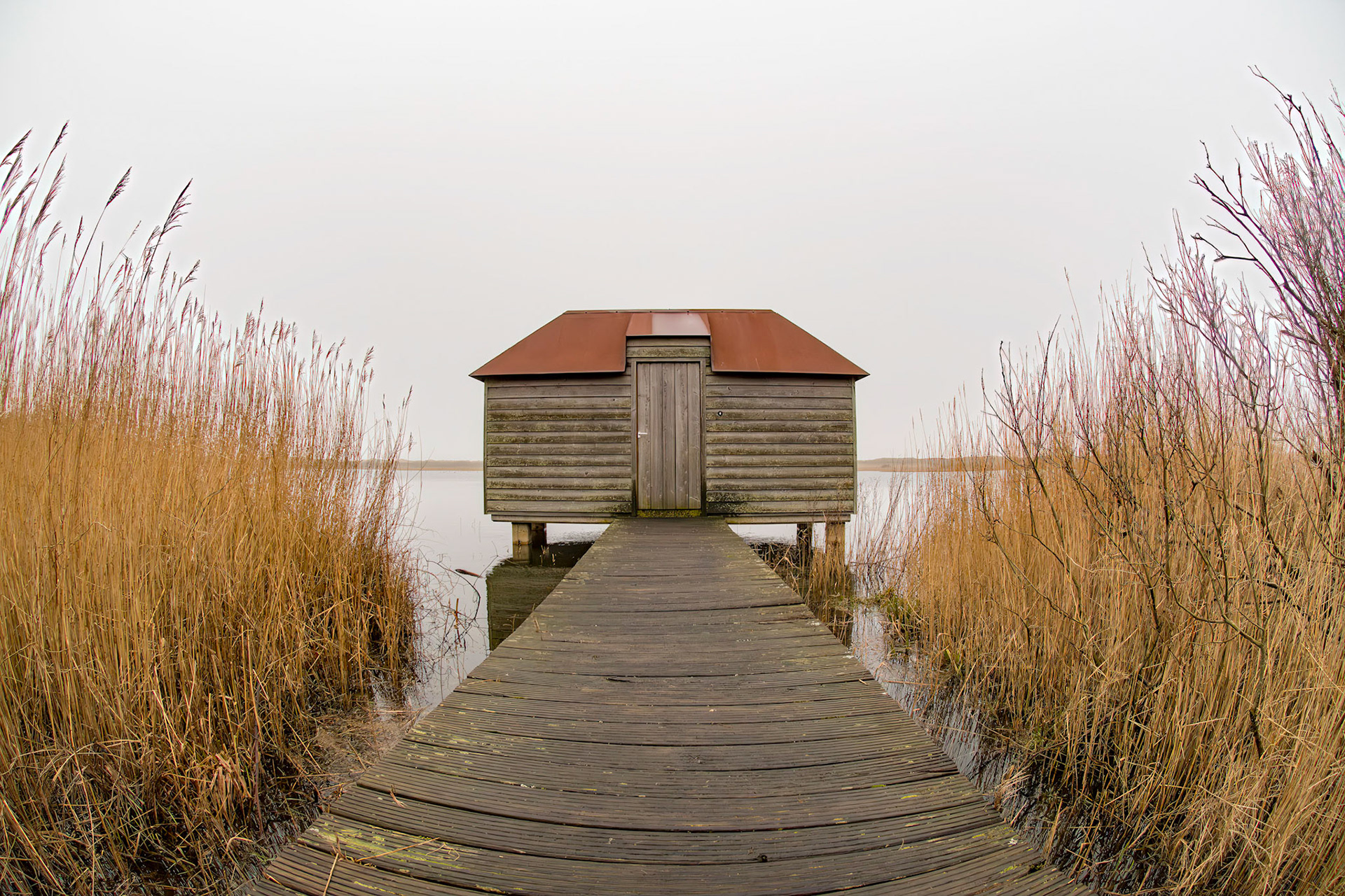 Ameland - The Netherlands (2017)