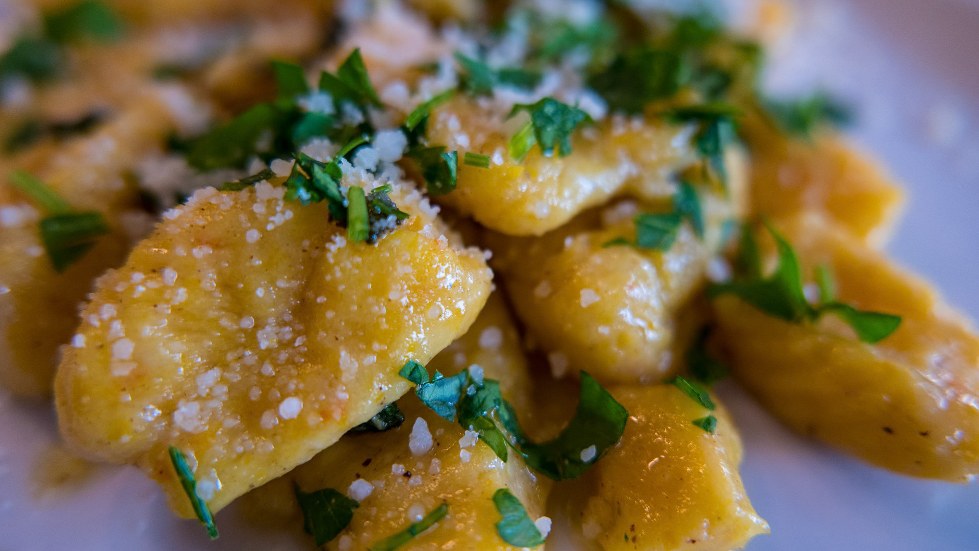 Gnocchi - Amsterdam - The Netherlands (2015)