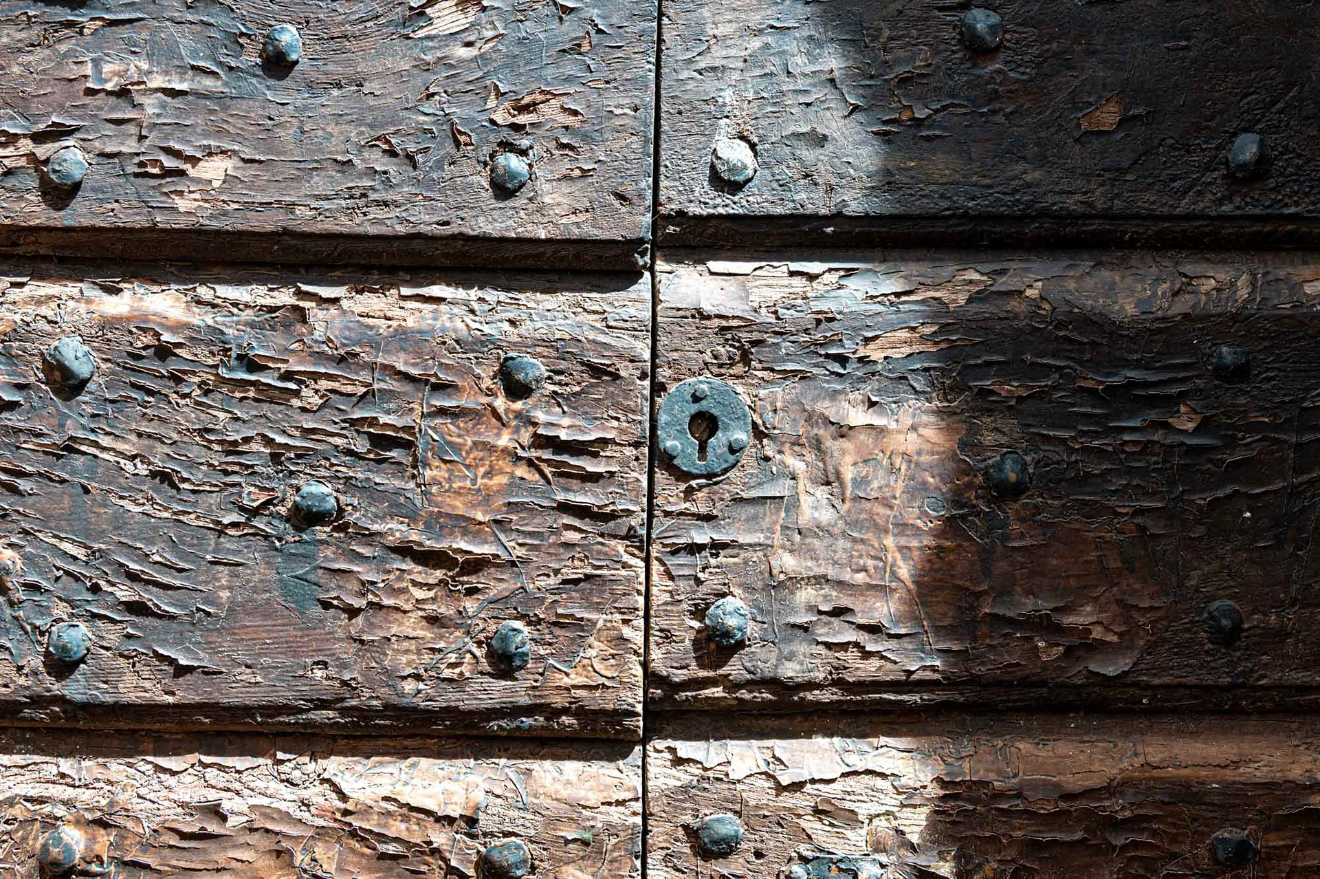 Castagneto Carducci - Tuscany  - Italy (2025)