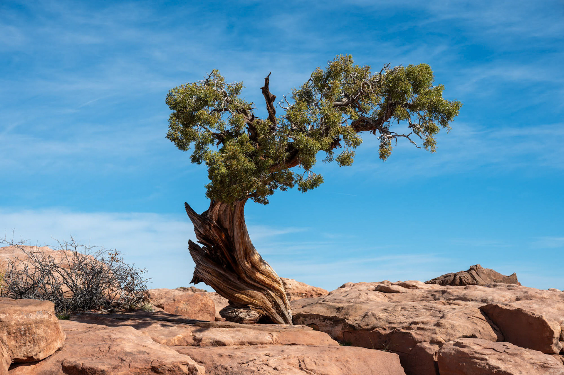 Dead Horse Point State Park - Utah - USA (2024)