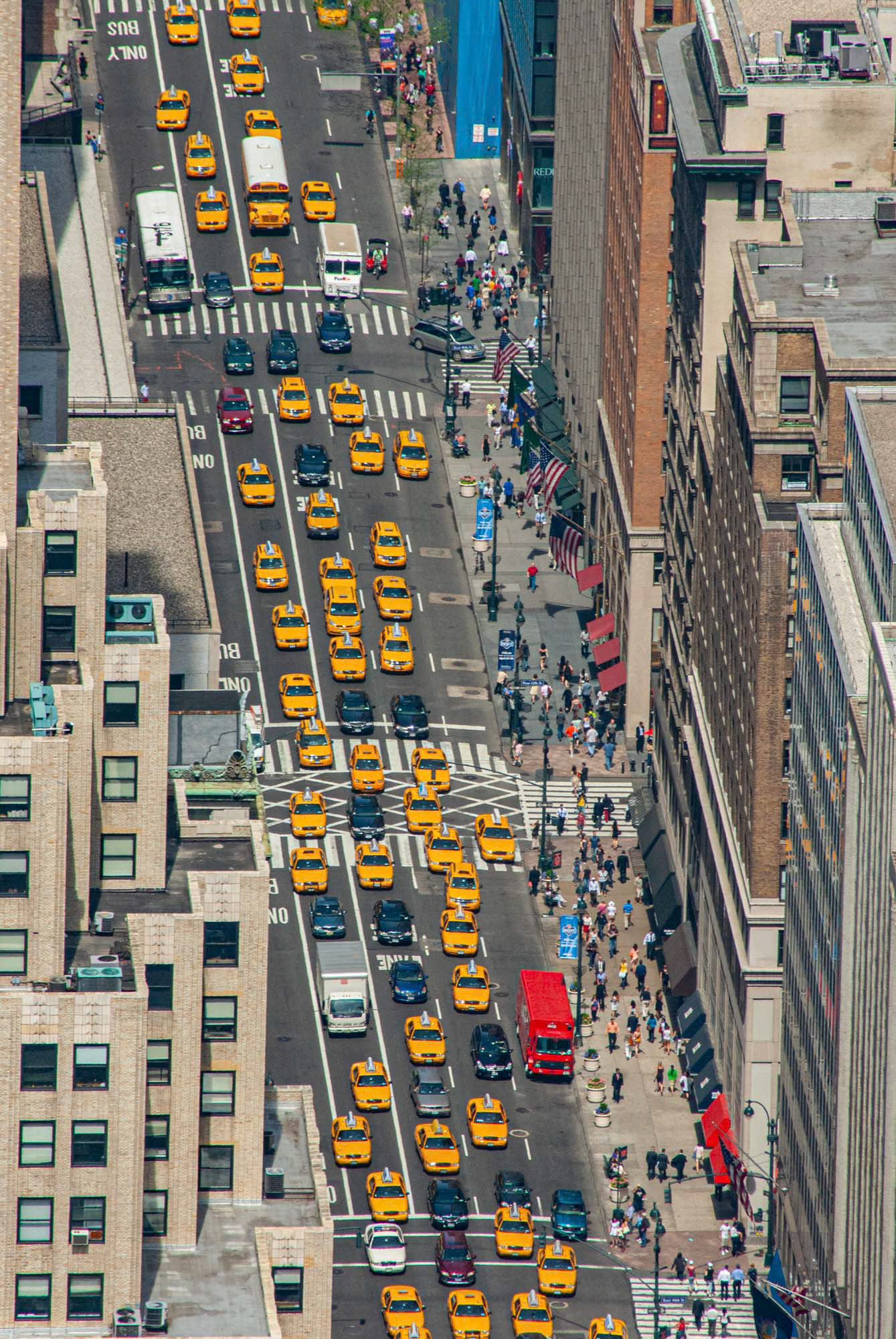 Yellow 5th Ave - Manhattan - NYC (2009)