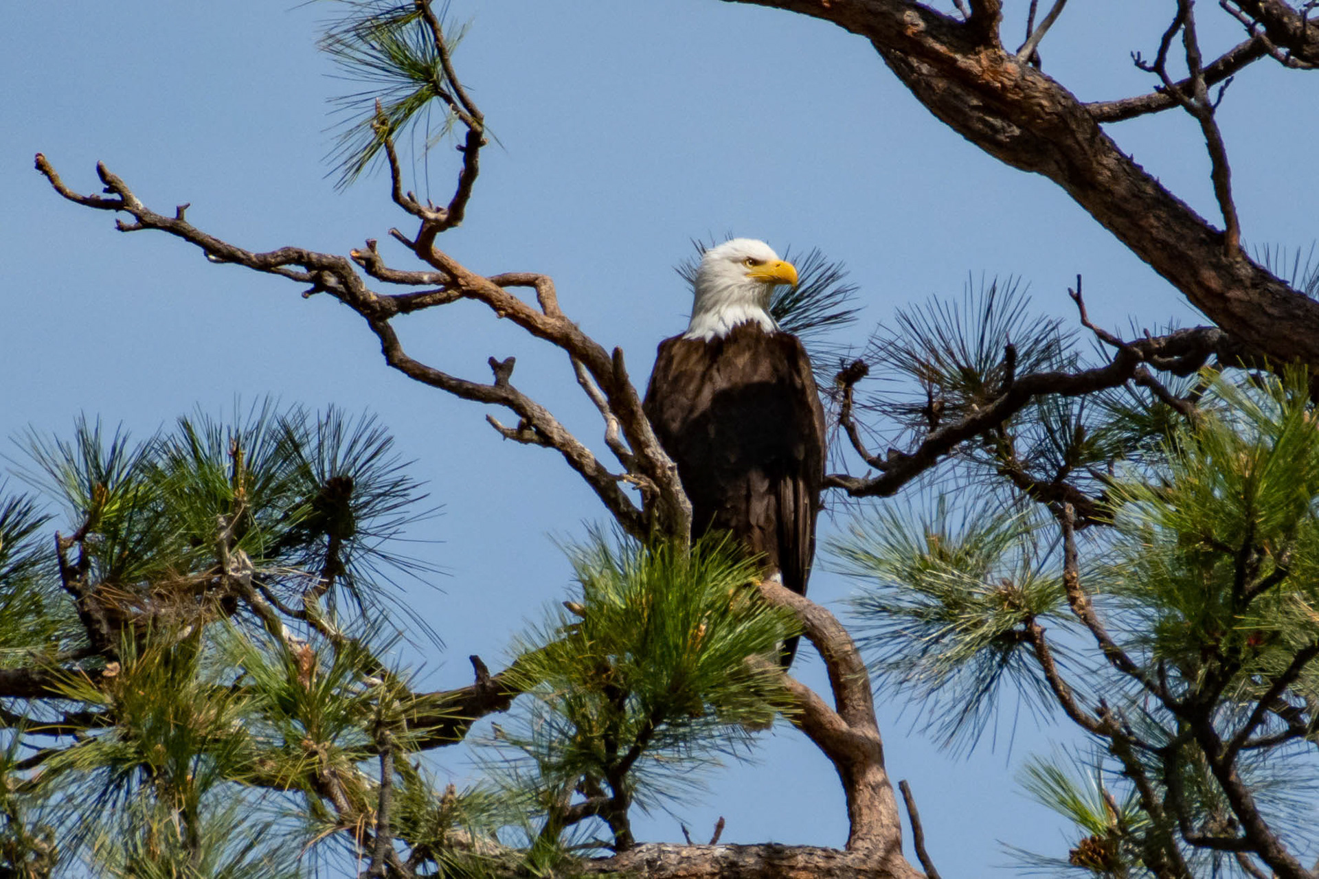 Smith Rock State Park - Oregon - USA (2019)