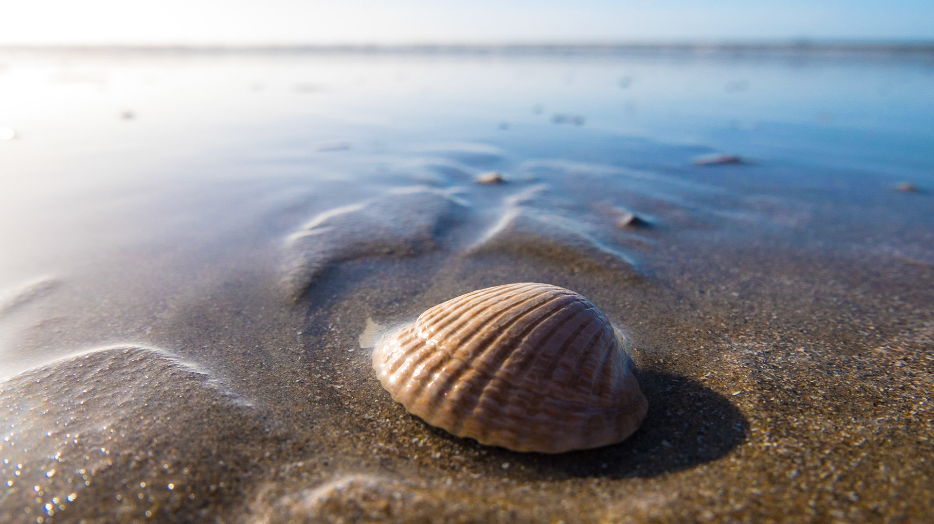 IJmuiden - The Netherlands