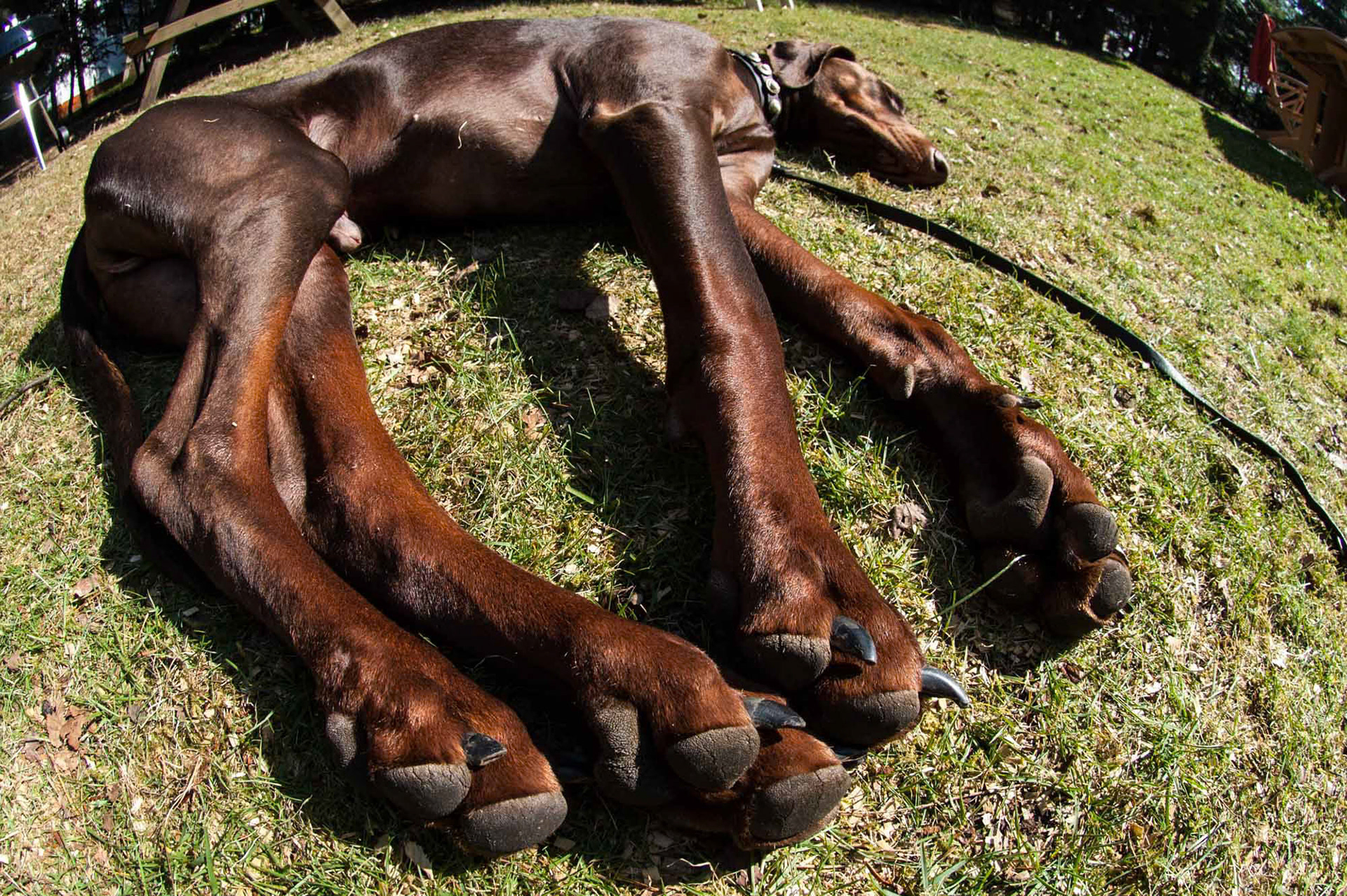 Ermelo - The Netherlands (2007)