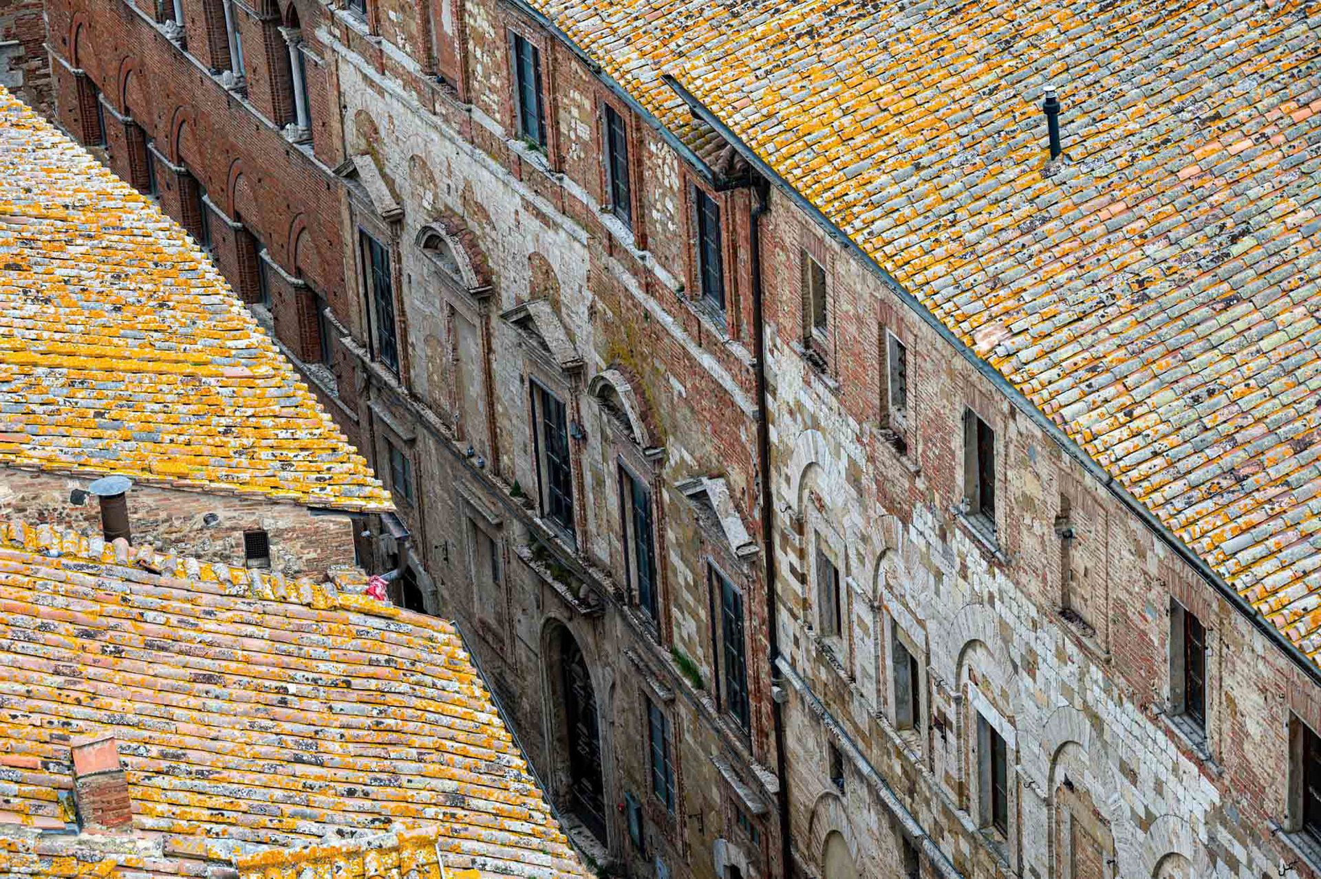 Montepulciano- Tuscany  - Italy (2025)